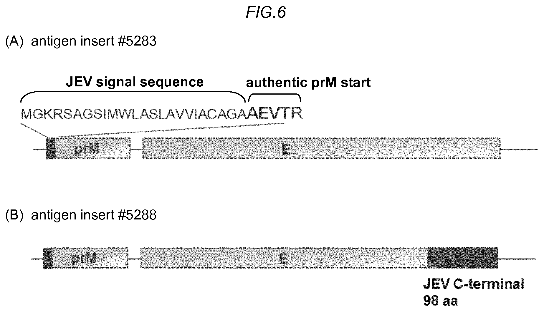 Patent US11780885 Figure 11 – Zika viral antigen constructs
