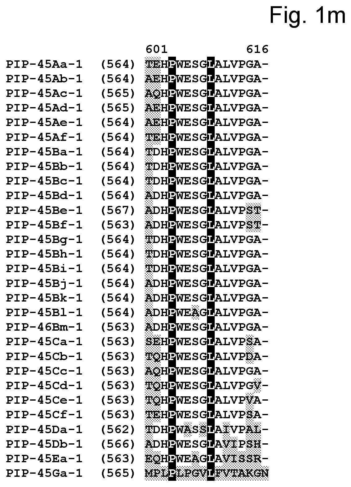 Patent US11780891 Figure 13 – Insecticidal proteins and methods for their use