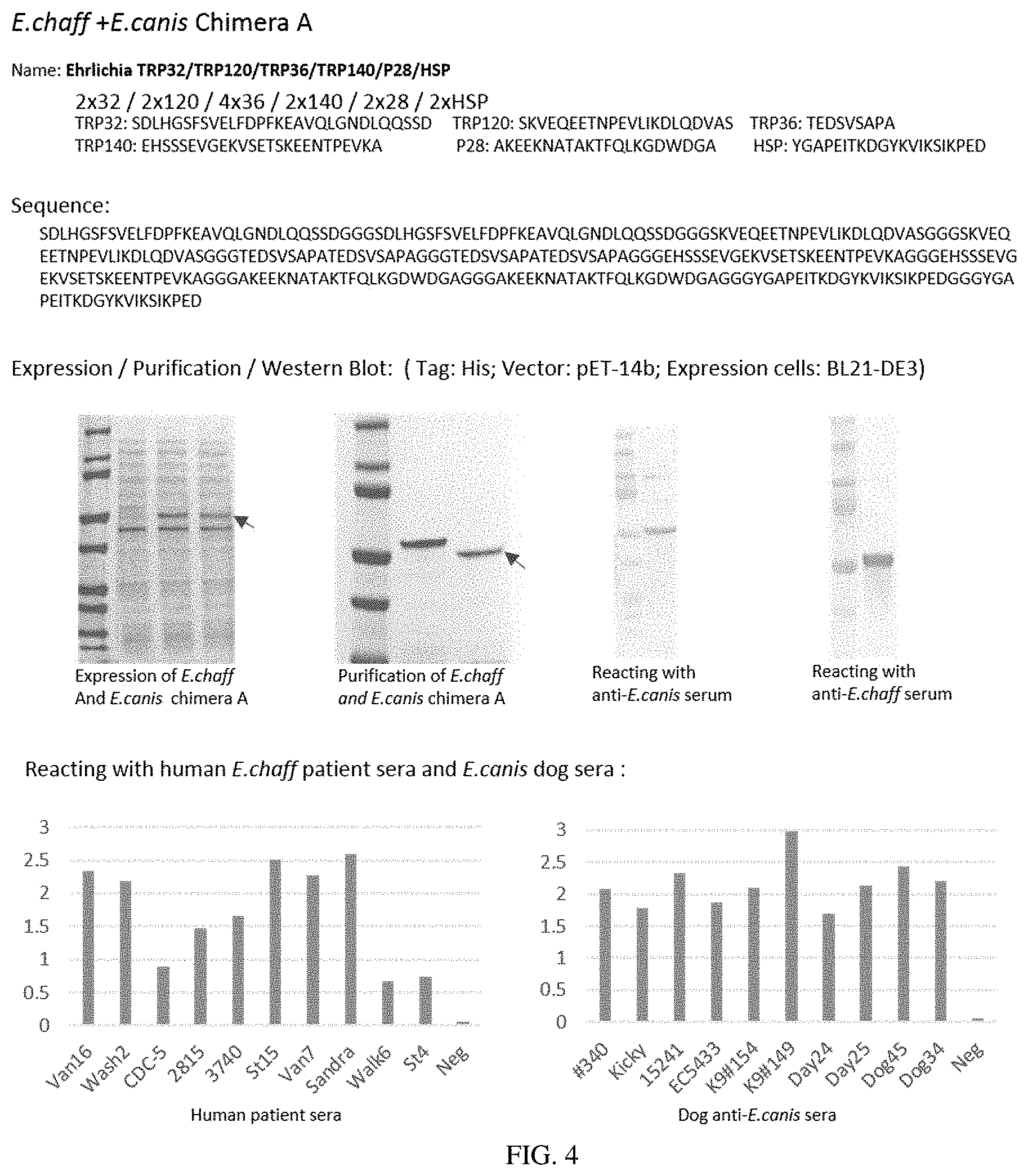 Patent US11780892 Figure 4 – Chimeric immunogenic polypeptides