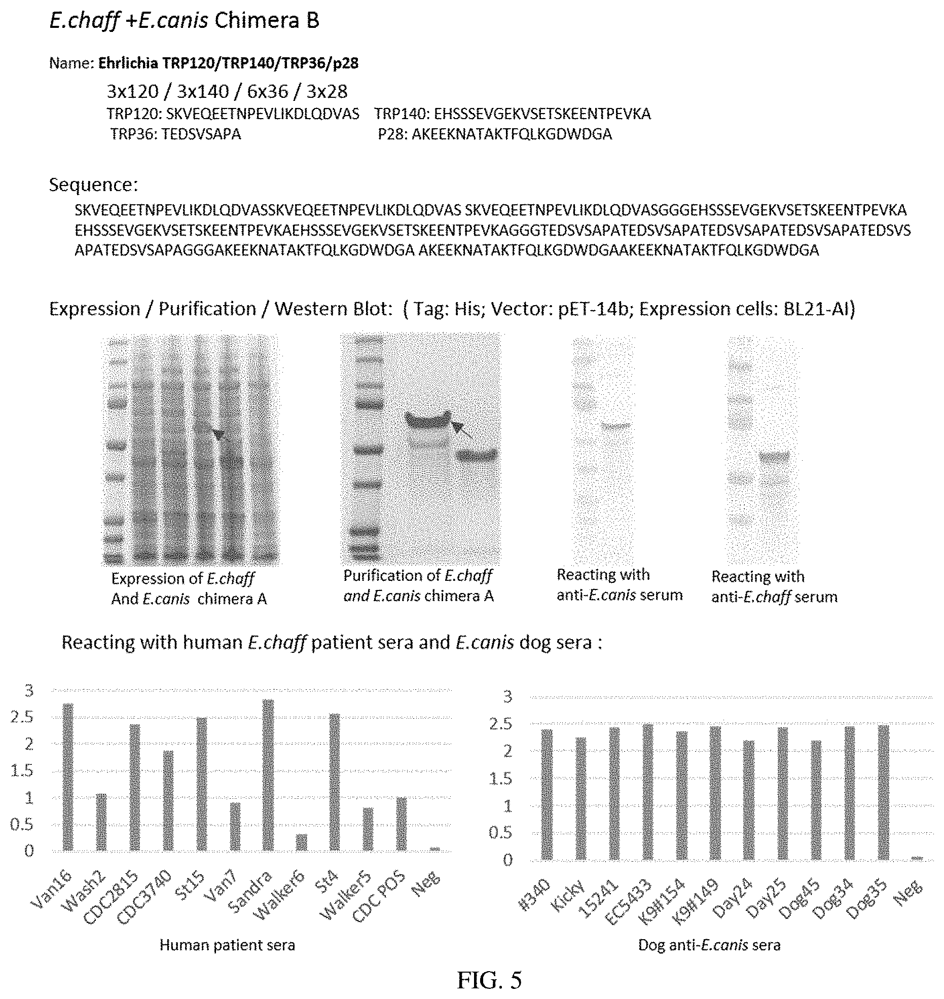 Patent US11780892 Figure 5 – Chimeric immunogenic polypeptides