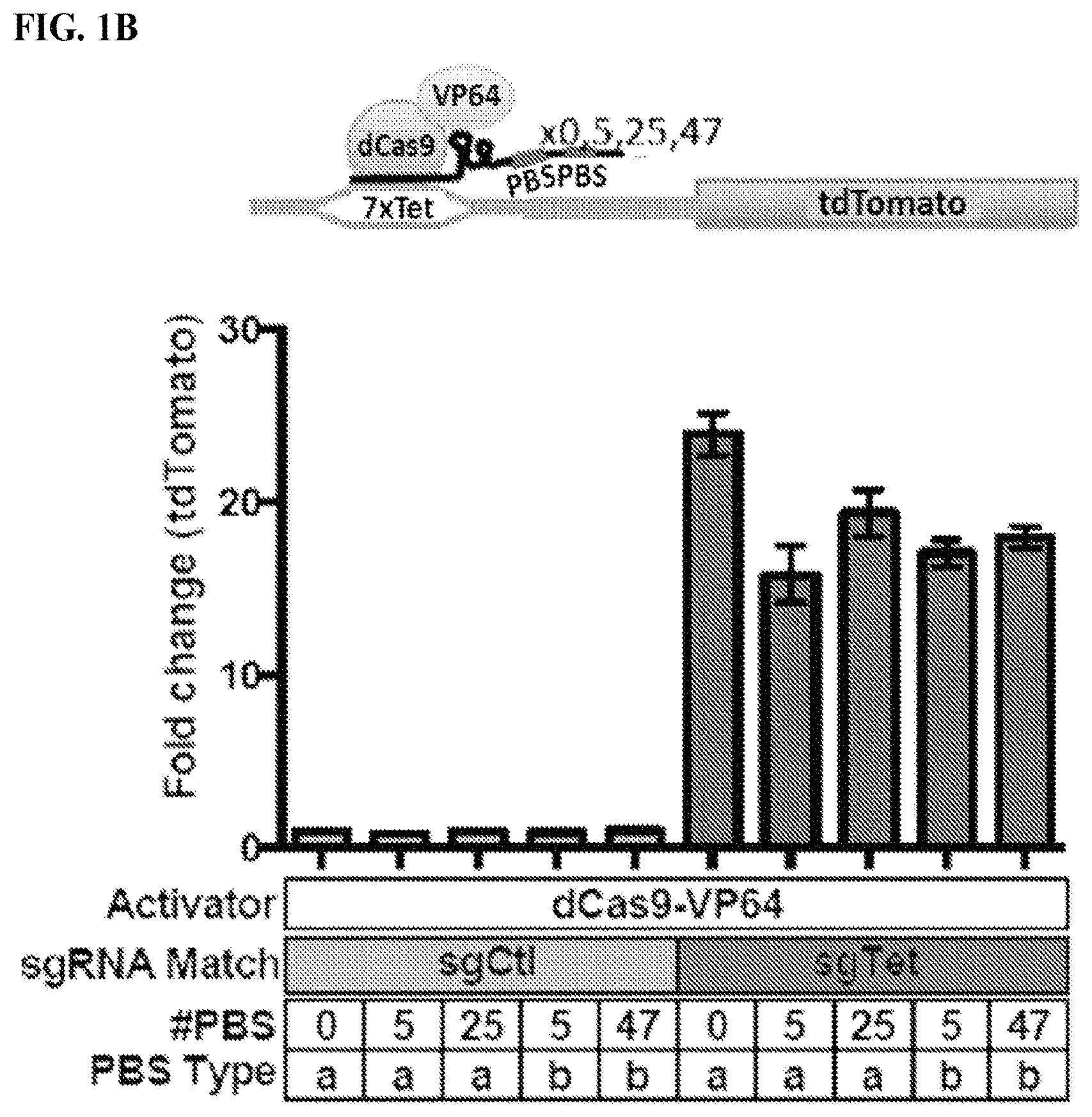 Patent US11780895 Figure 2 – Targeted DNA demethylation and methylation