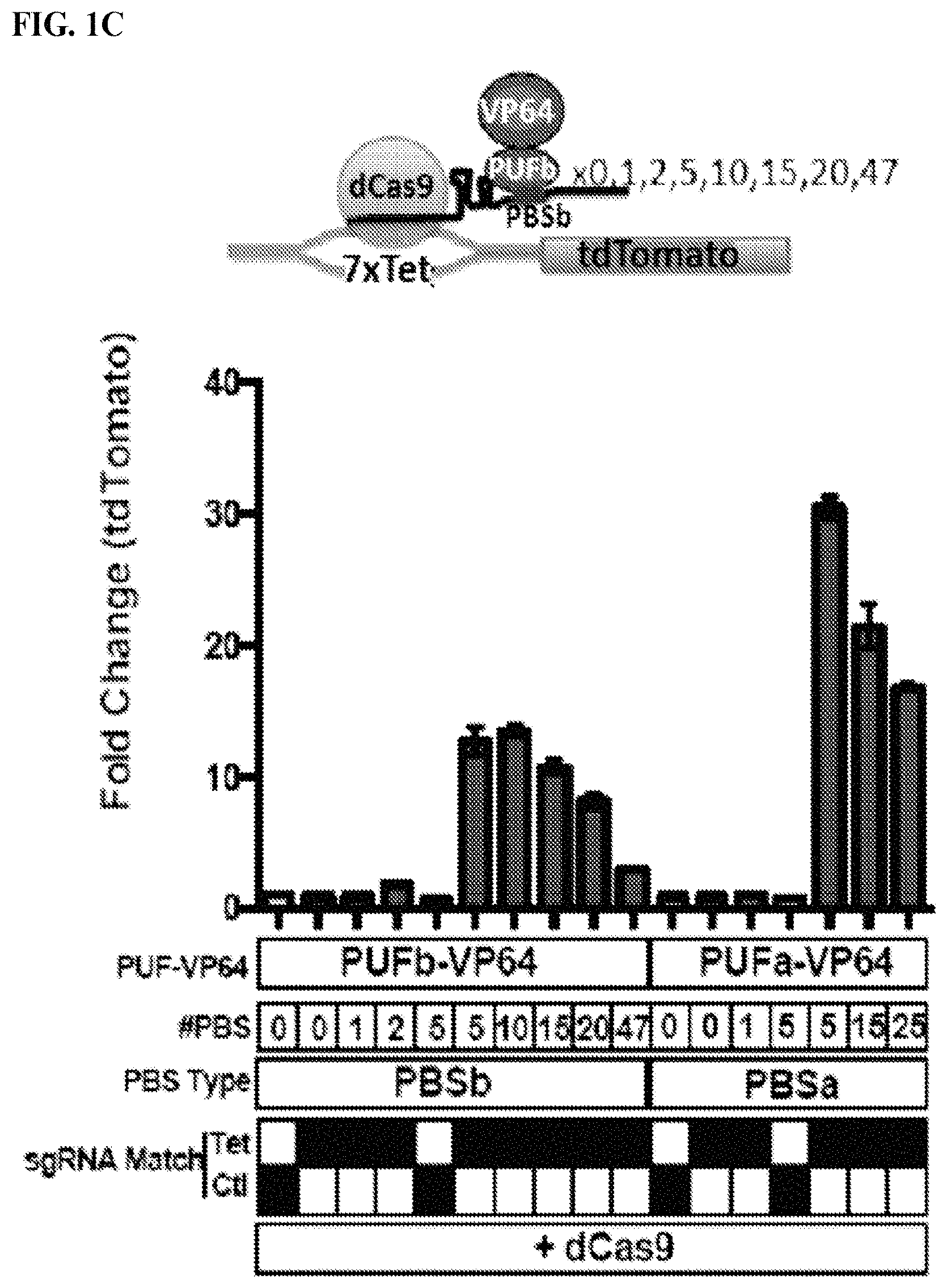Patent US11780895 Figure 3 – Targeted DNA demethylation and methylation