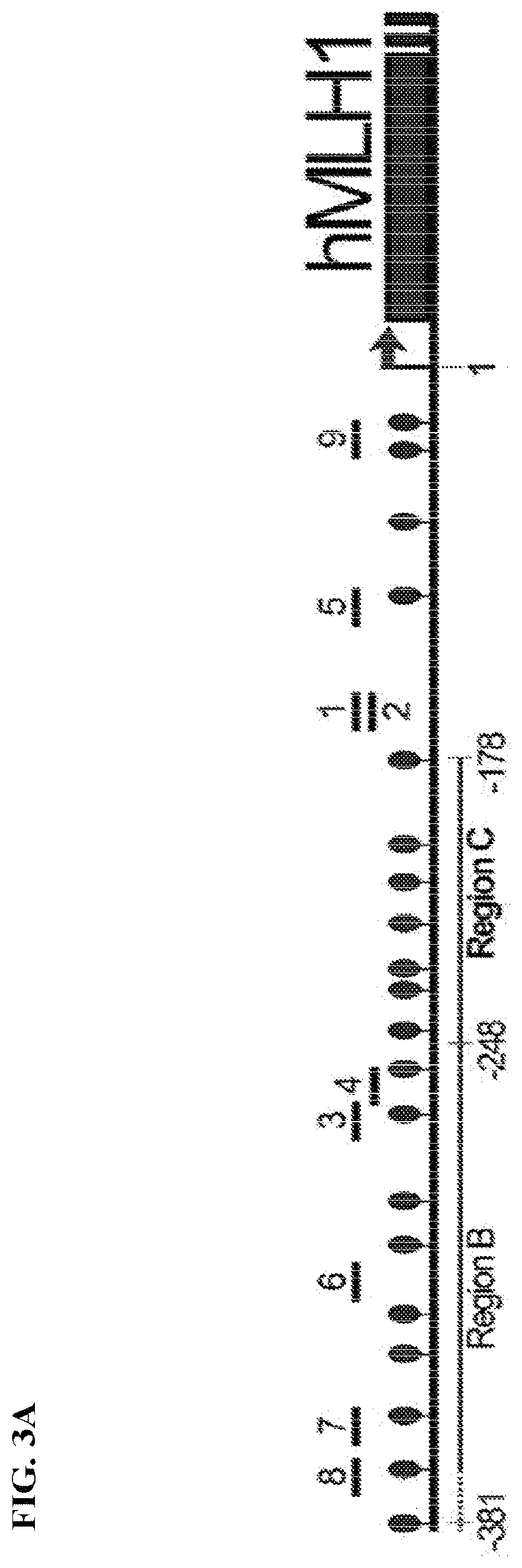 Patent US11780895 Figure 7 – Targeted DNA demethylation and methylation