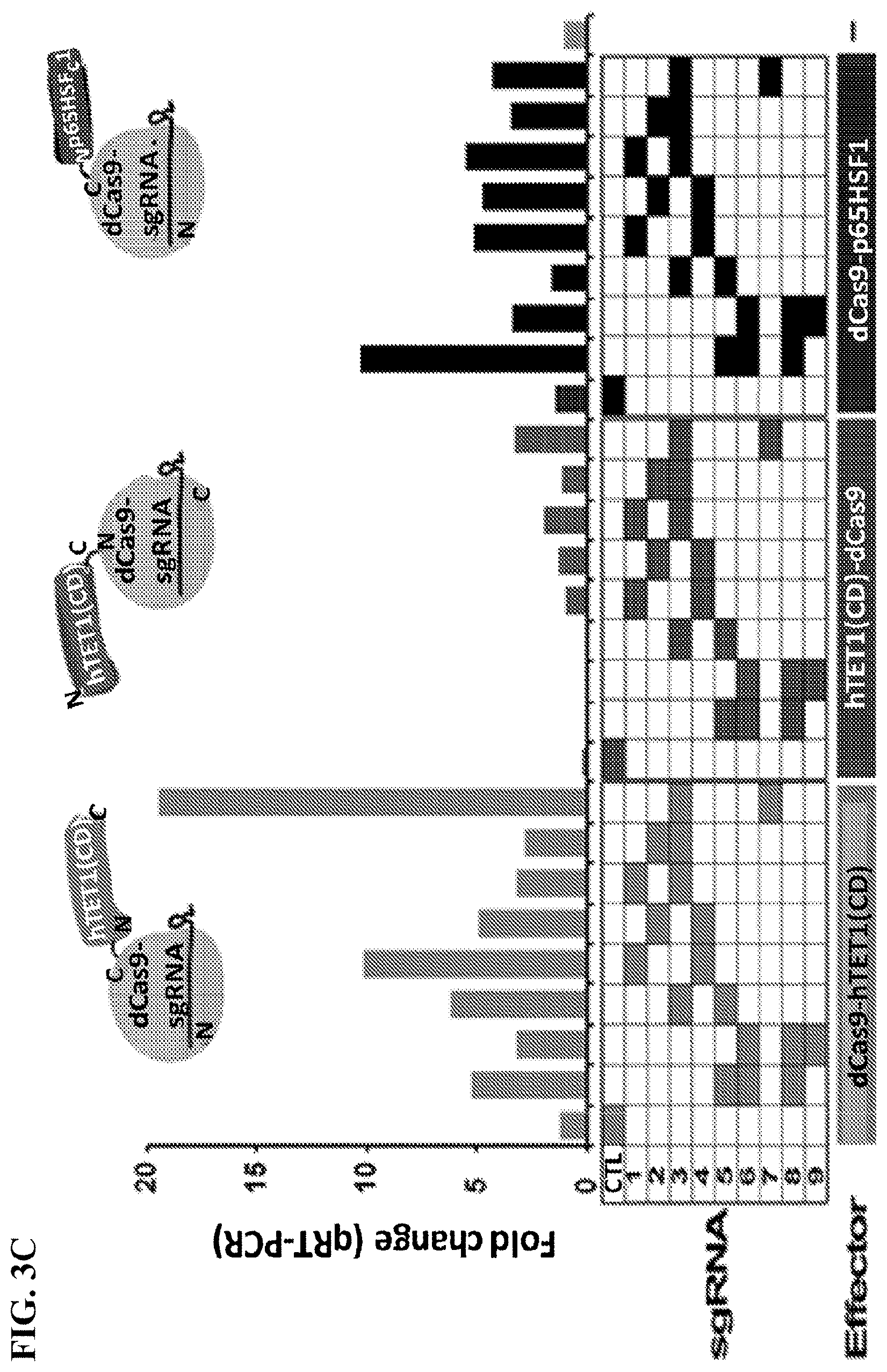Patent US11780895 Figure 9 – Targeted DNA demethylation and methylation