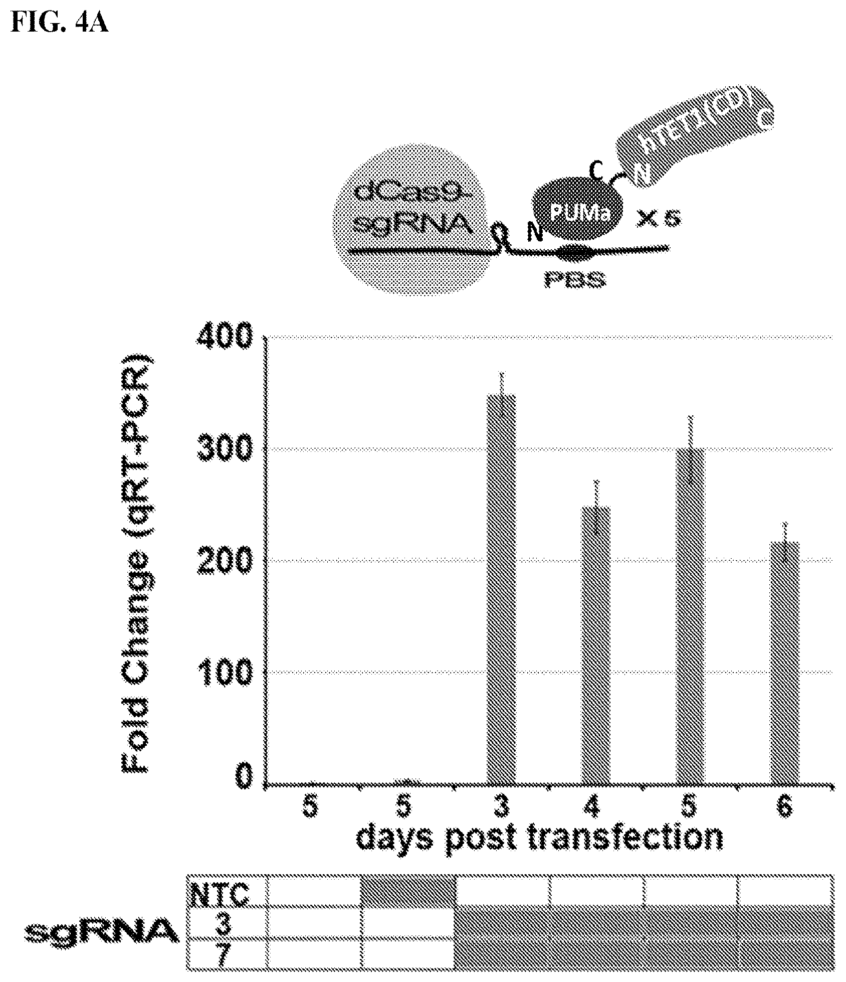 Patent US11780895 Figure 10 – Targeted DNA demethylation and methylation