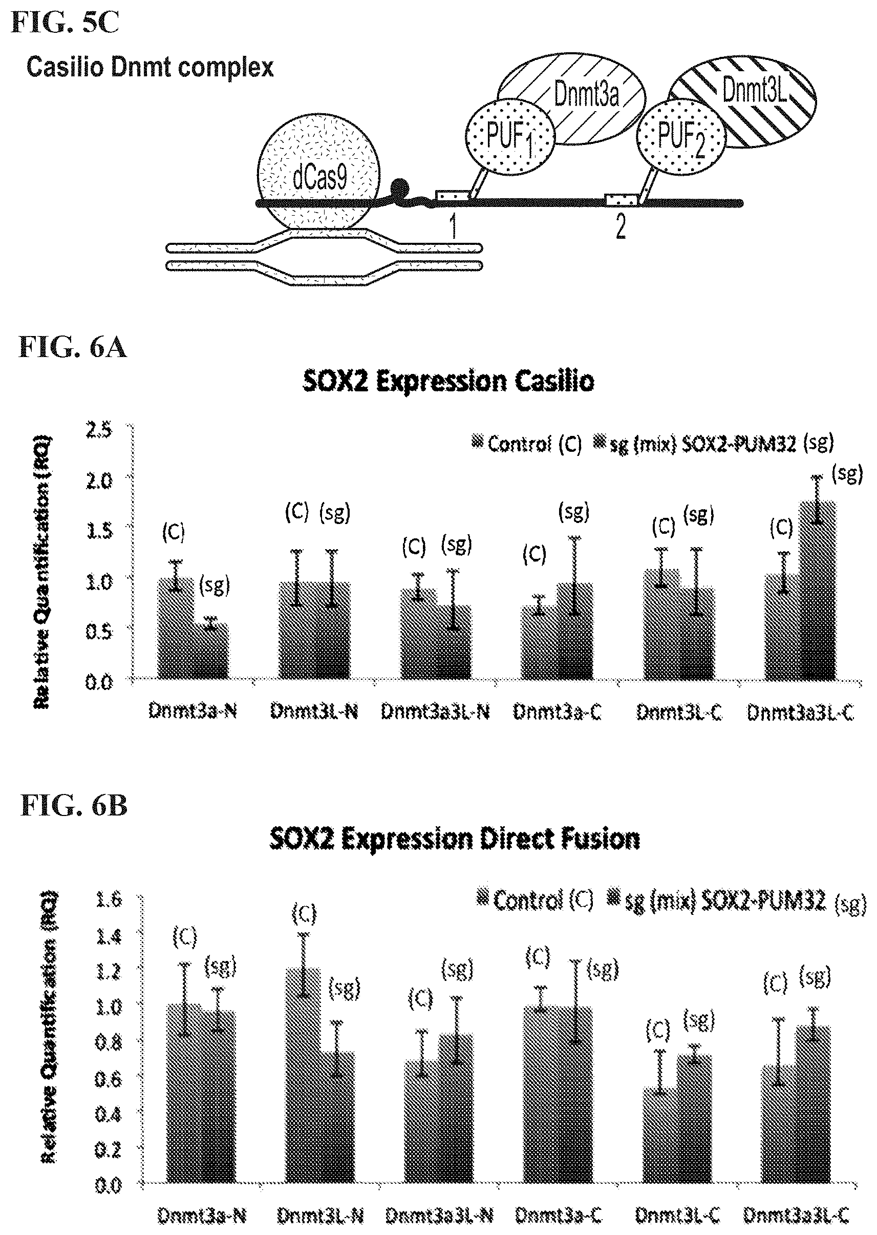 Patent US11780895 Figure 14 – Targeted DNA demethylation and methylation