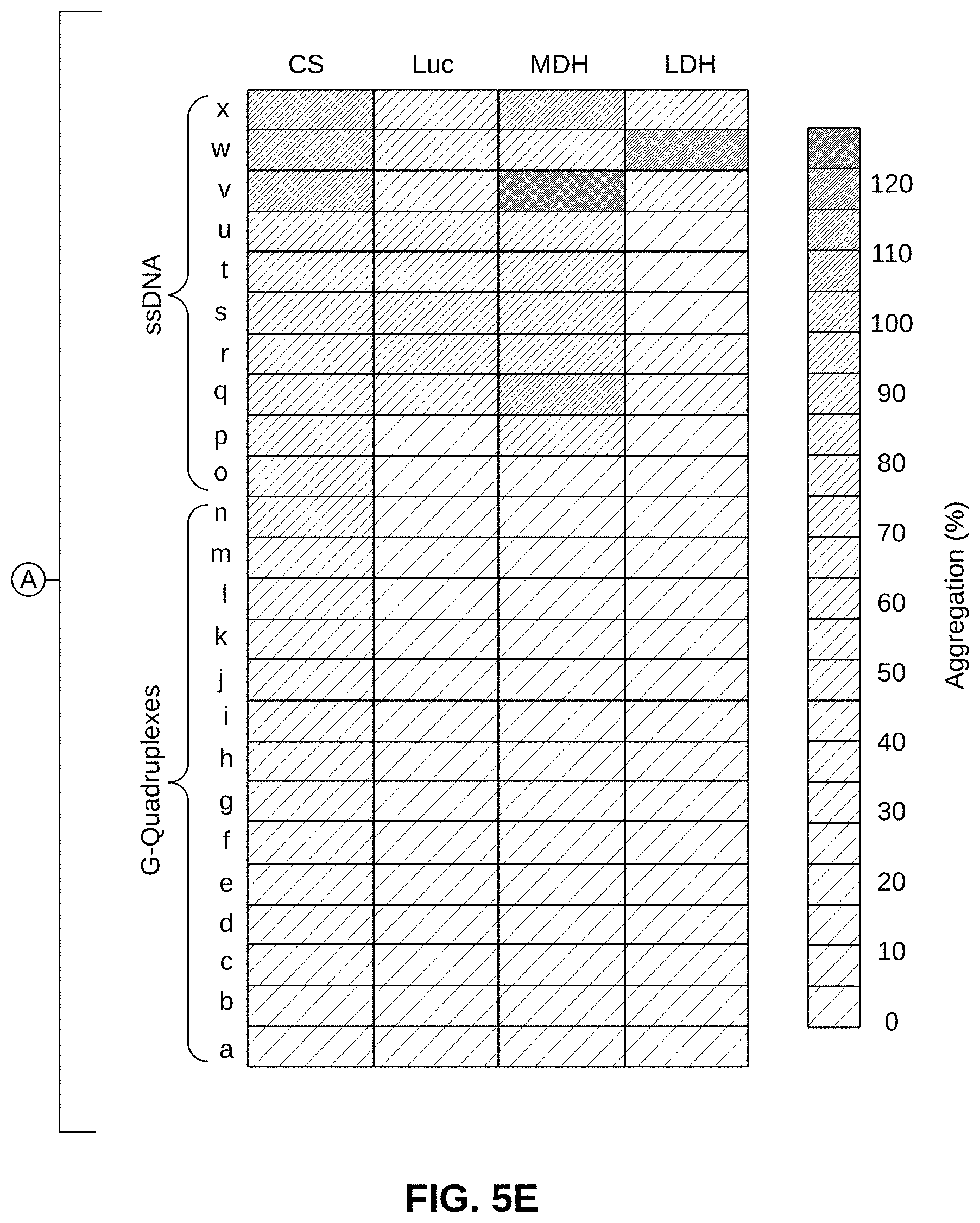 Patent US11780896 Figure 12 – Systems, methods, and compounds for providing chaperone activity to proteins