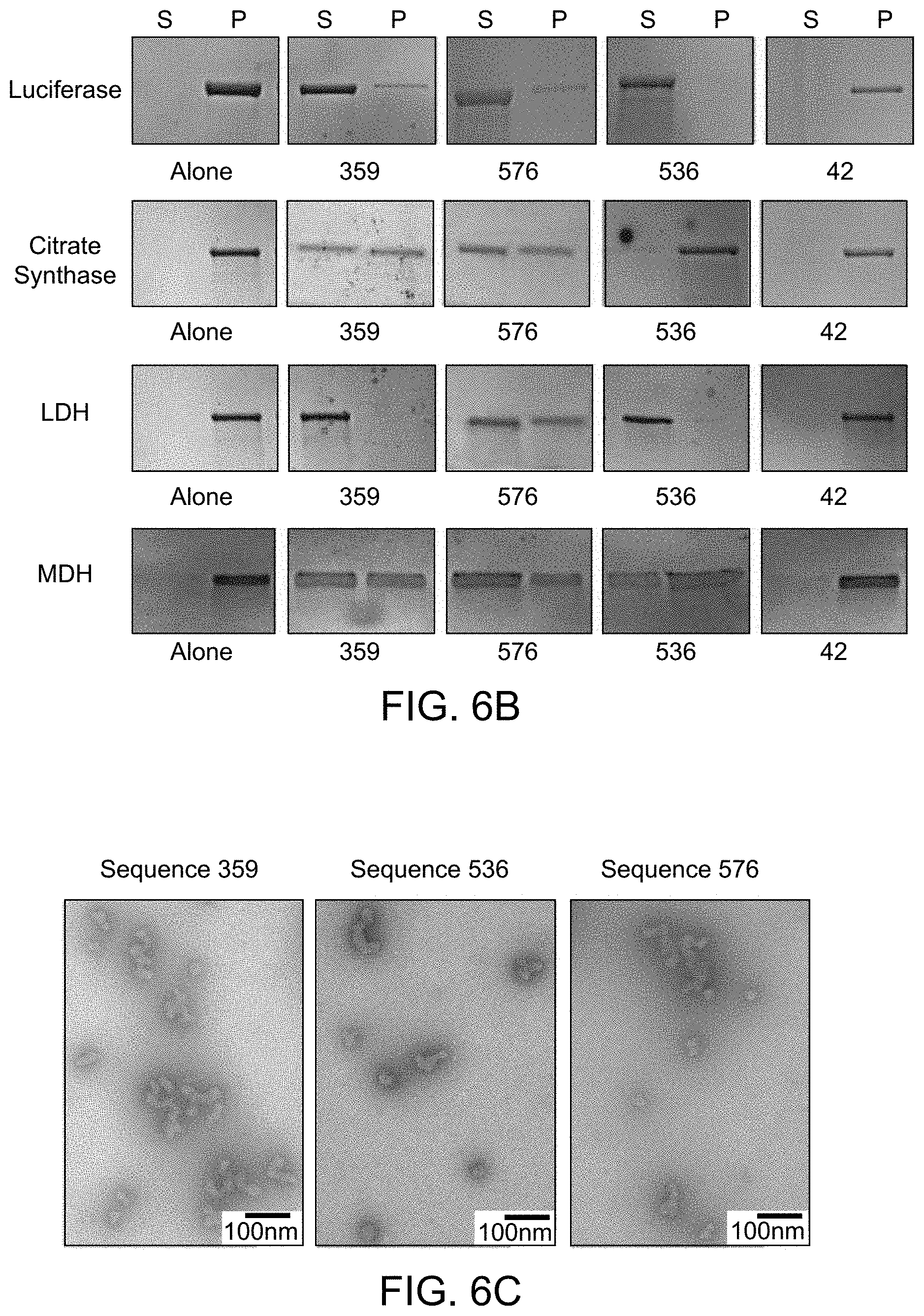 Patent US11780896 Figure 14 – Systems, methods, and compounds for providing chaperone activity to proteins
