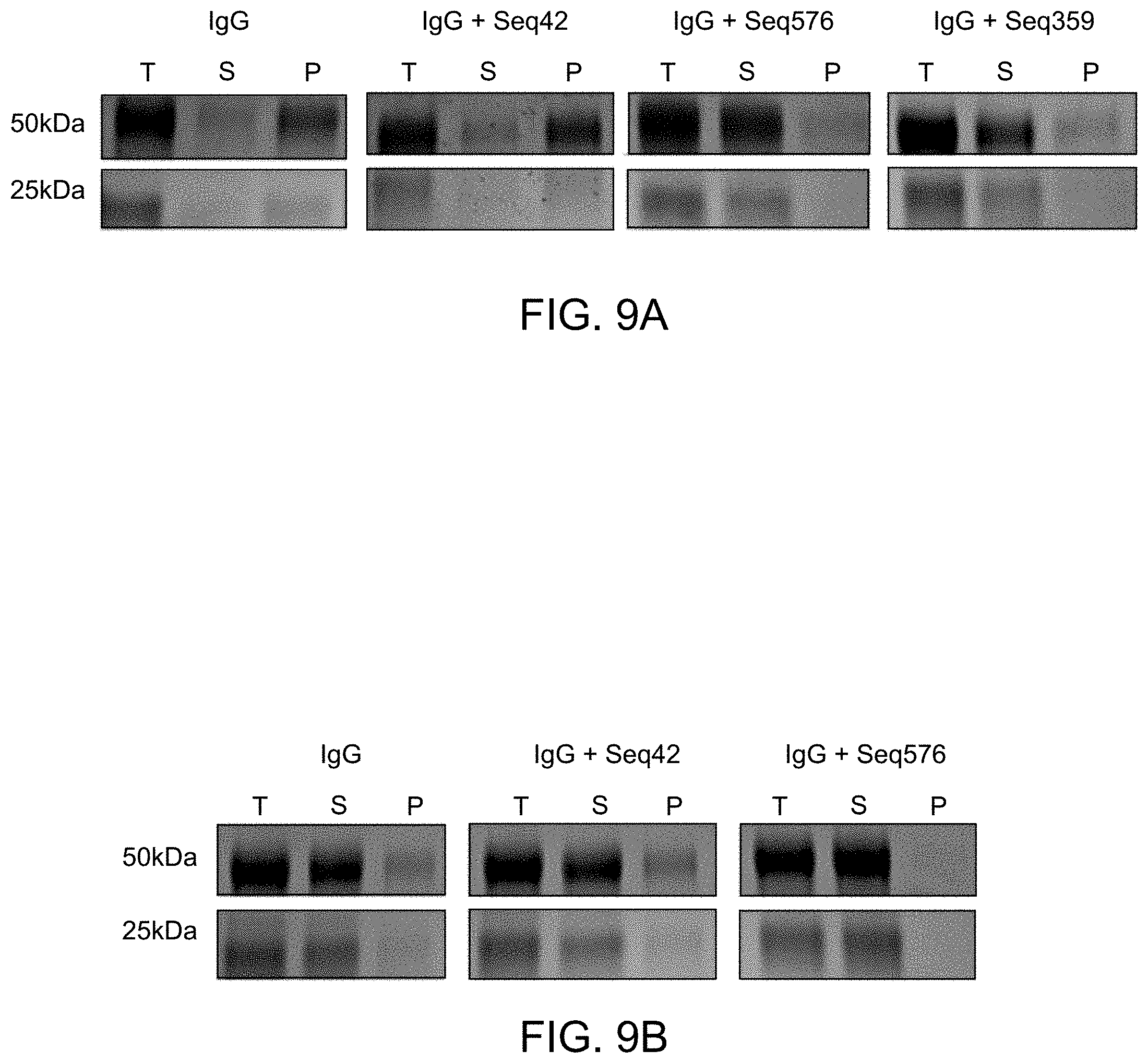 Patent US11780896 Figure 17 – Systems, methods, and compounds for providing chaperone activity to proteins