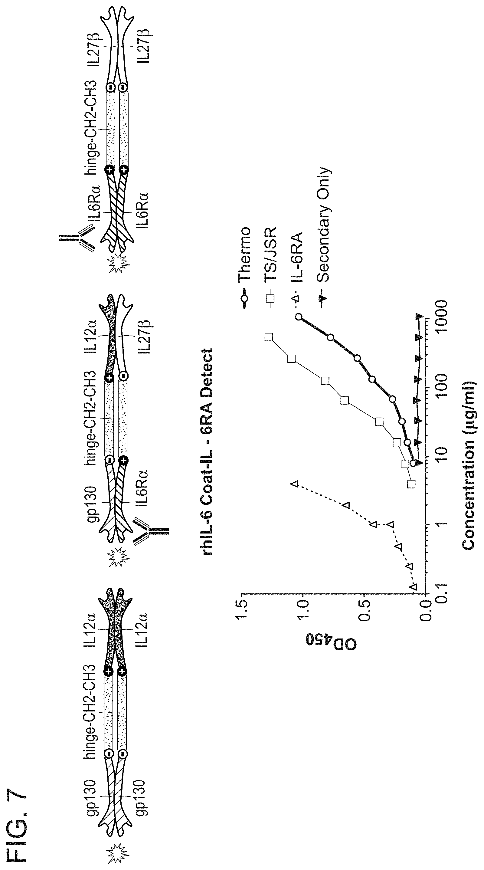 Patent US11780897 Figure 7 – Heterodimeric proteins and uses thereof