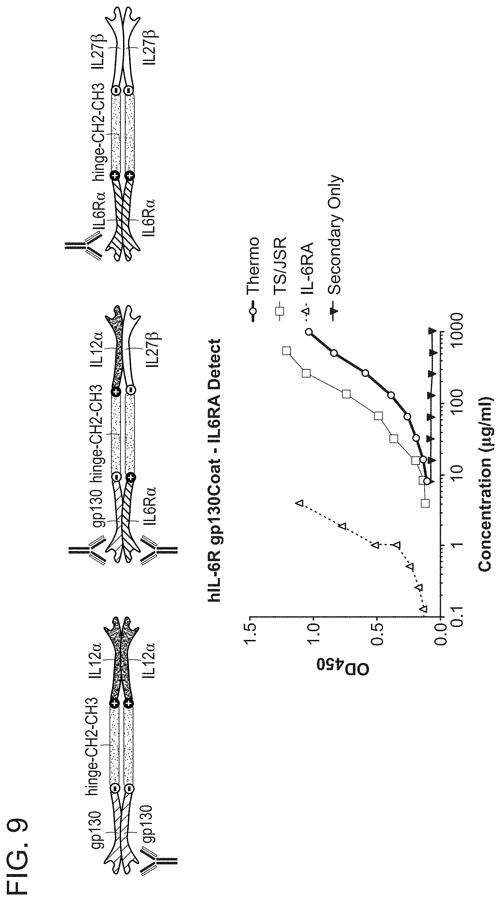 Patent US11780897 Figure 9 – Heterodimeric proteins and uses thereof