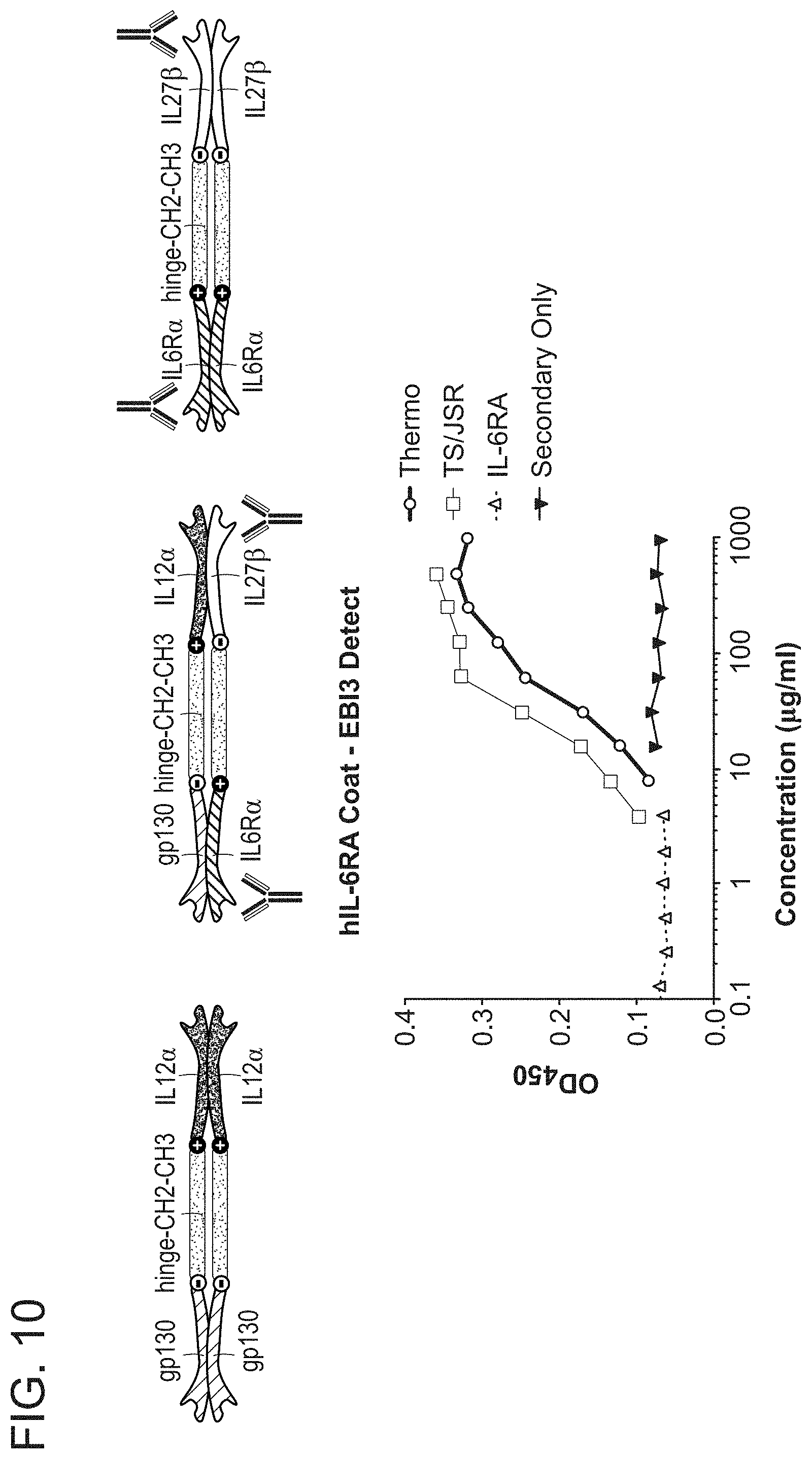 Patent US11780897 Figure 10 – Heterodimeric proteins and uses thereof