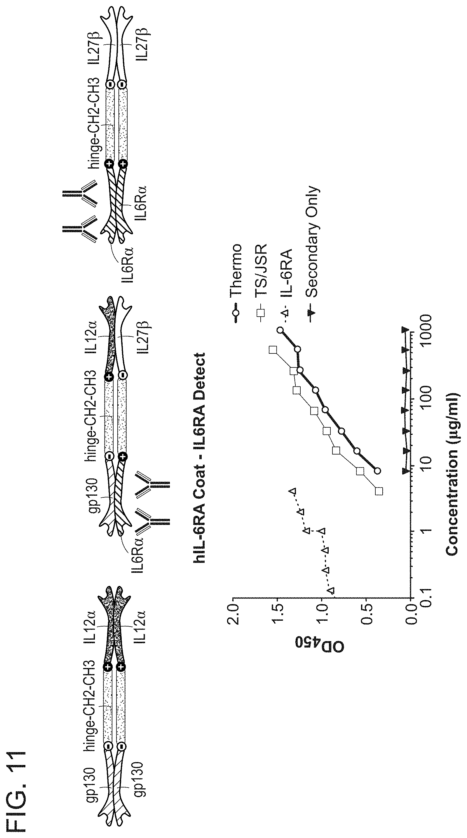 Patent US11780897 Figure 11 – Heterodimeric proteins and uses thereof