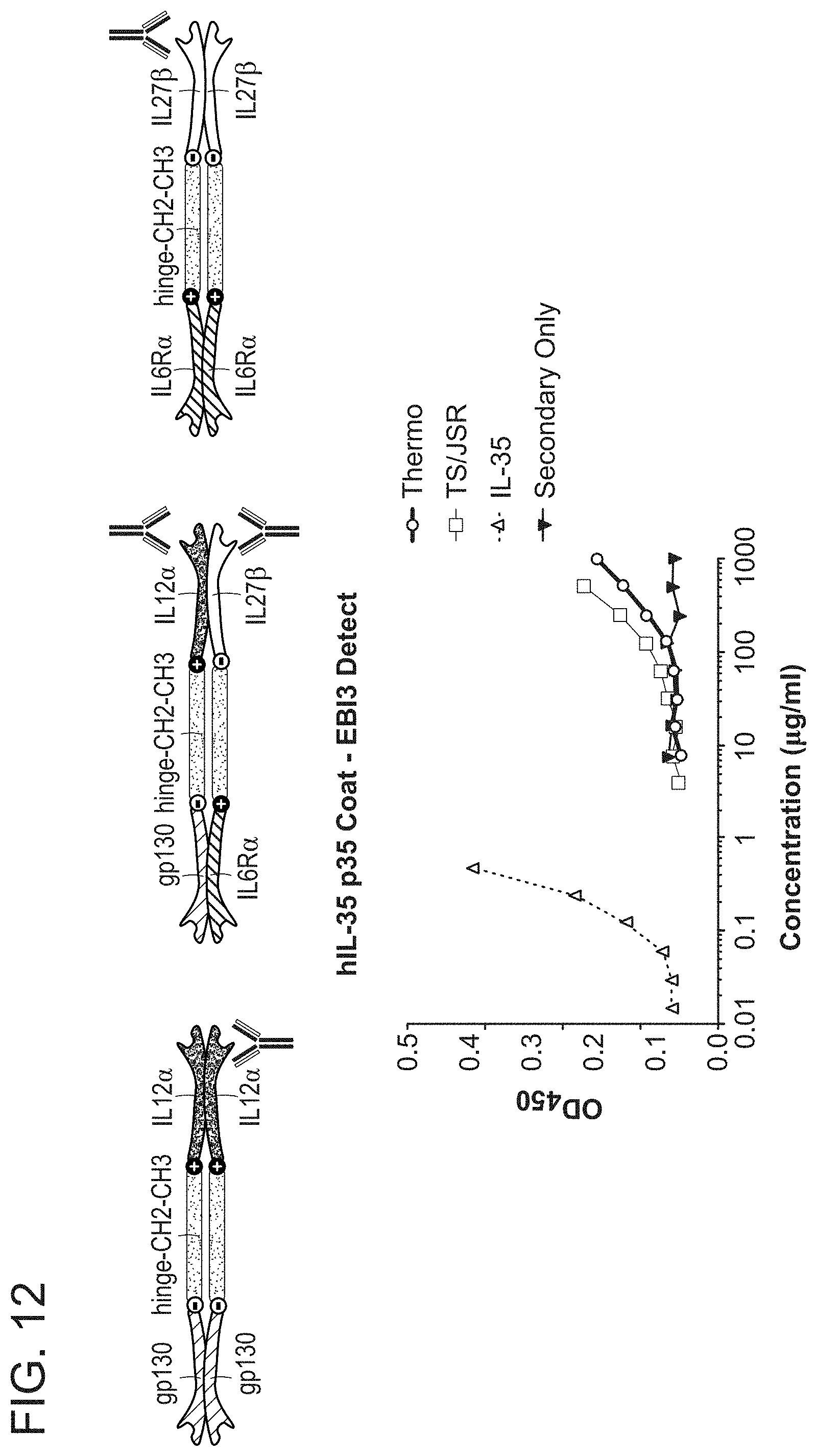 Patent US11780897 Figure 12 – Heterodimeric proteins and uses thereof