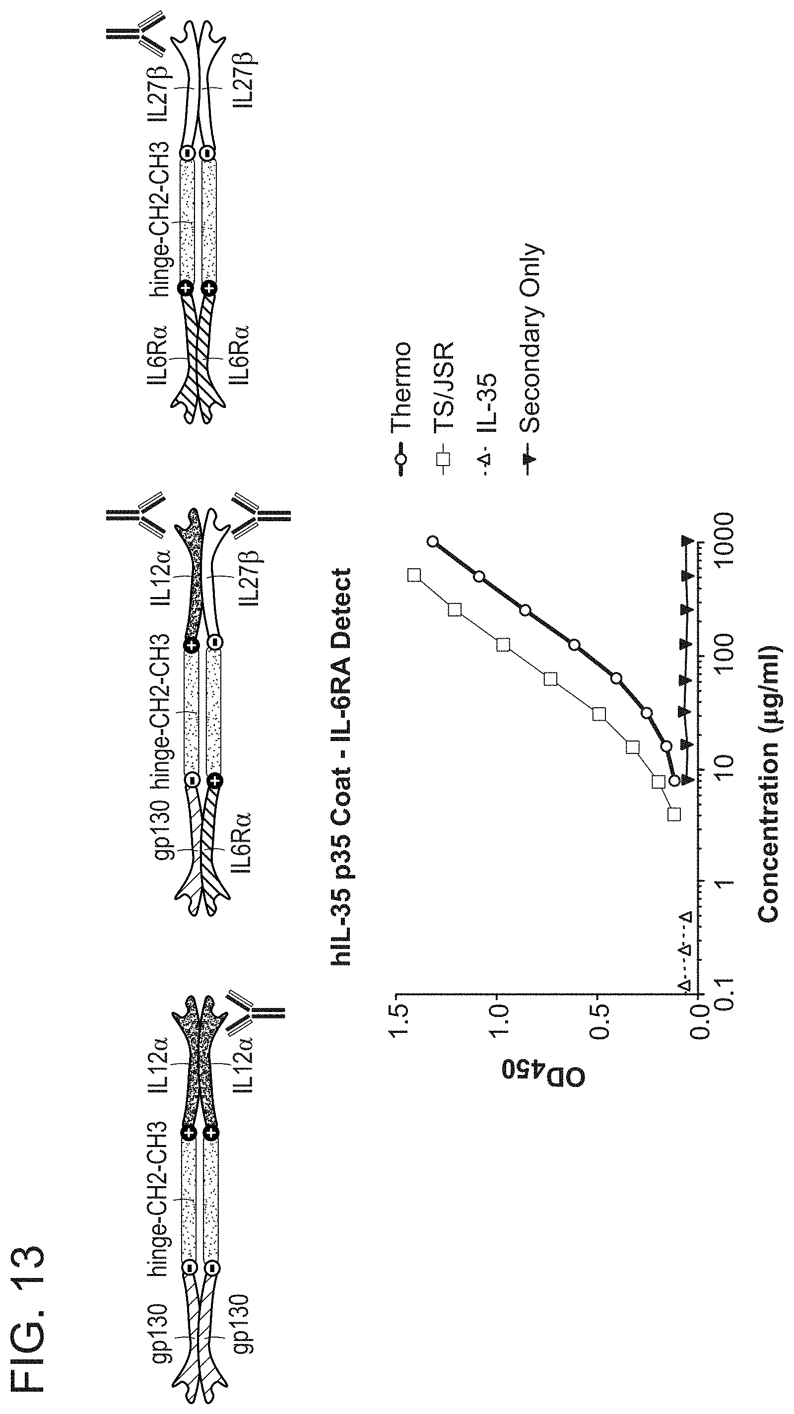 Patent US11780897 Figure 13 – Heterodimeric proteins and uses thereof