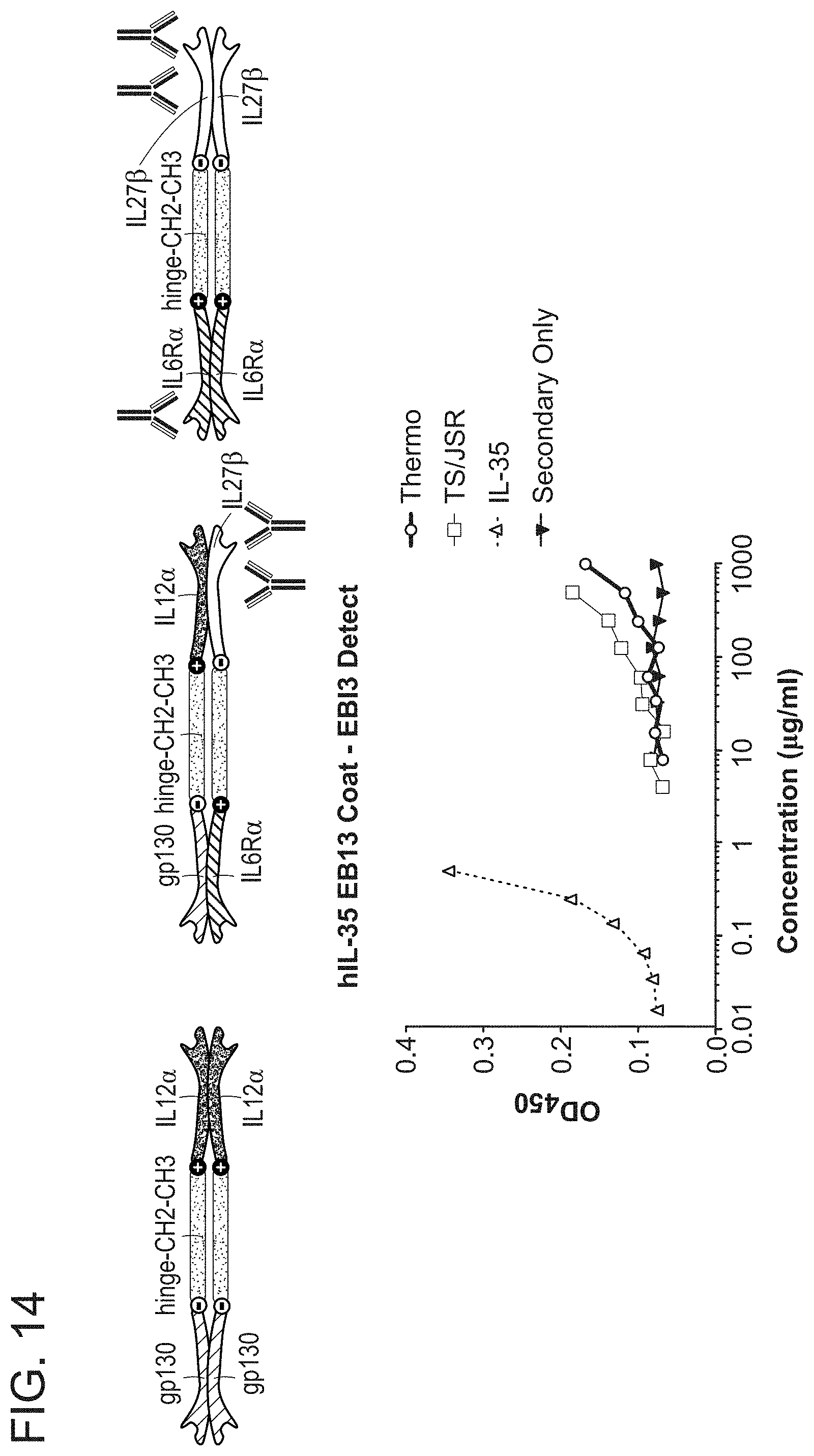 Patent US11780897 Figure 14 – Heterodimeric proteins and uses thereof