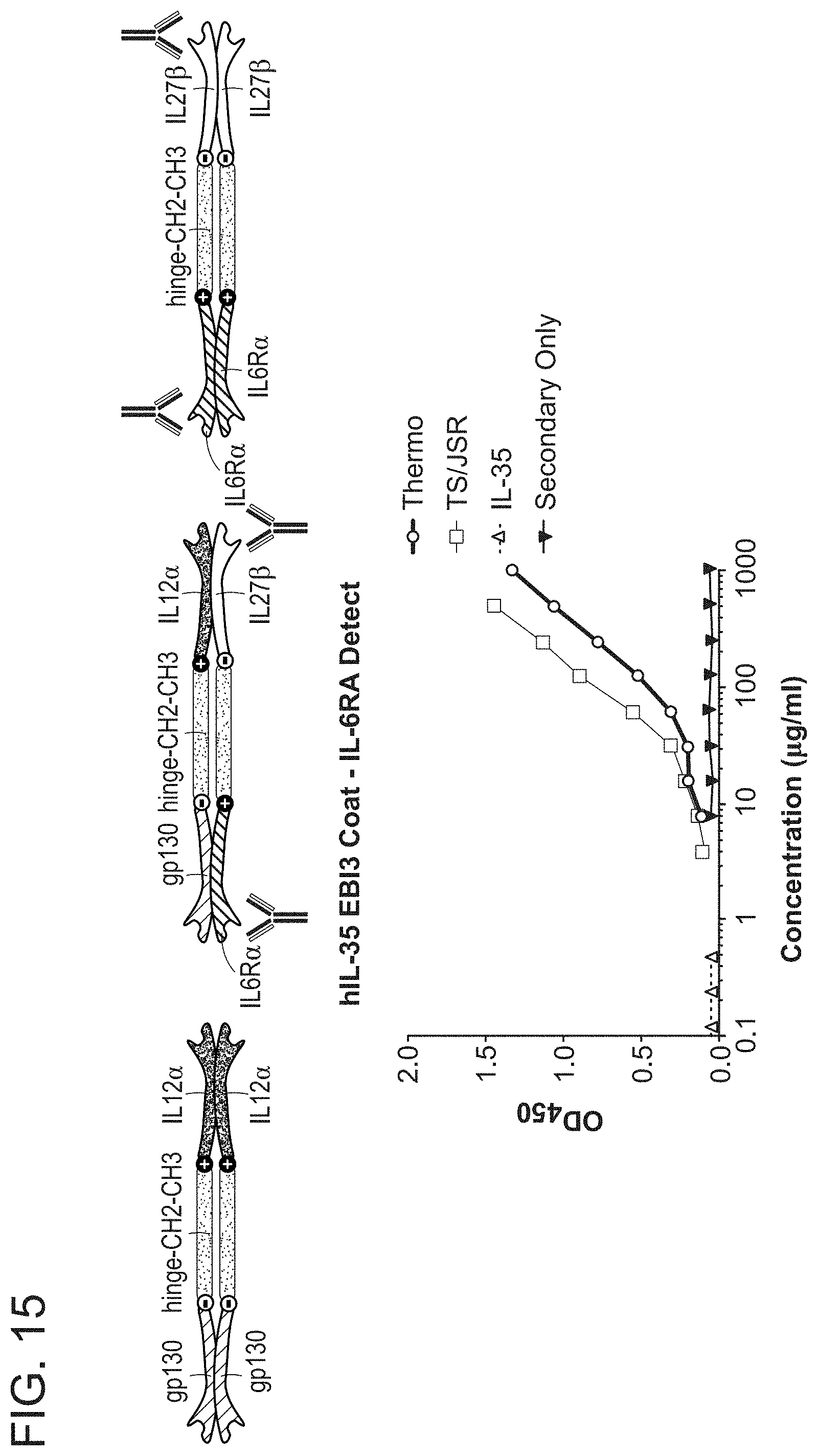 Patent US11780897 Figure 15 – Heterodimeric proteins and uses thereof