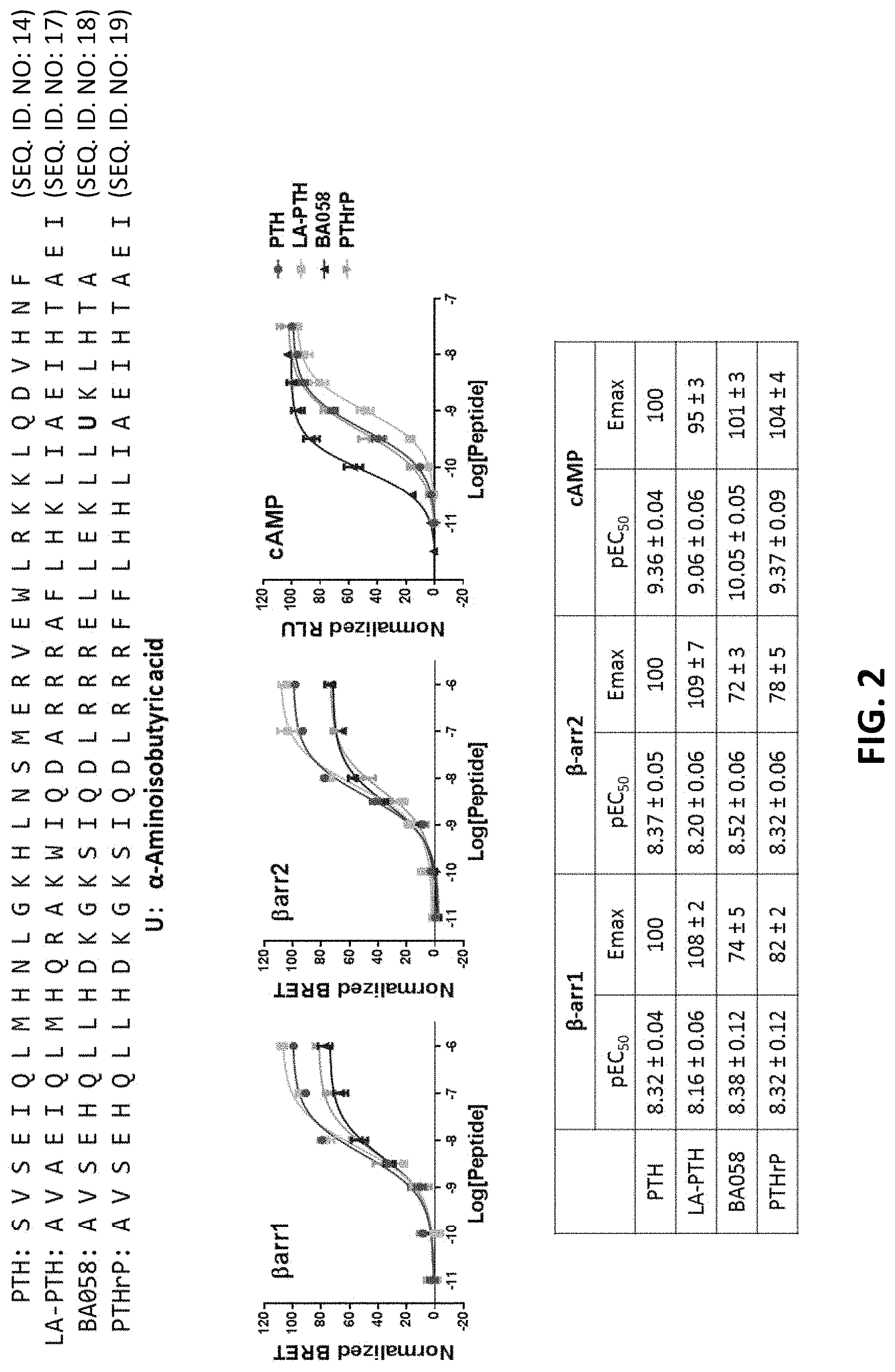 Patent US11780901 Figure 2 – Analogues of parathyroid hormone (1-34) that function as agonists of the parathyroid hormone receptor-1 and display modified activity profiles