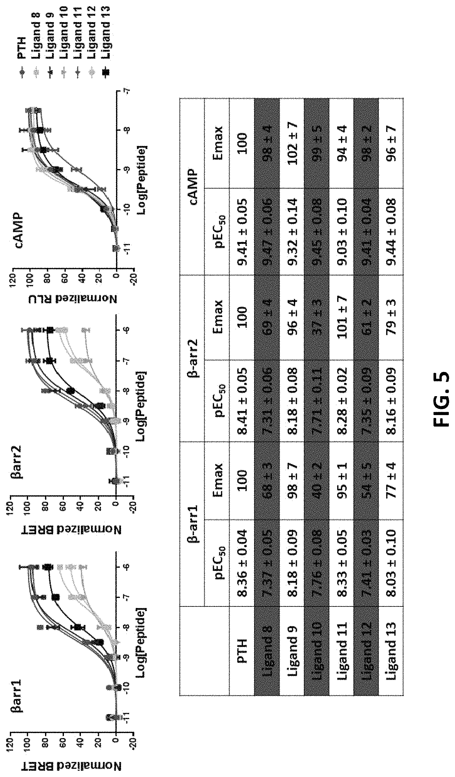 Patent US11780901 Figure 5 – Analogues of parathyroid hormone (1-34) that function as agonists of the parathyroid hormone receptor-1 and display modified activity profiles