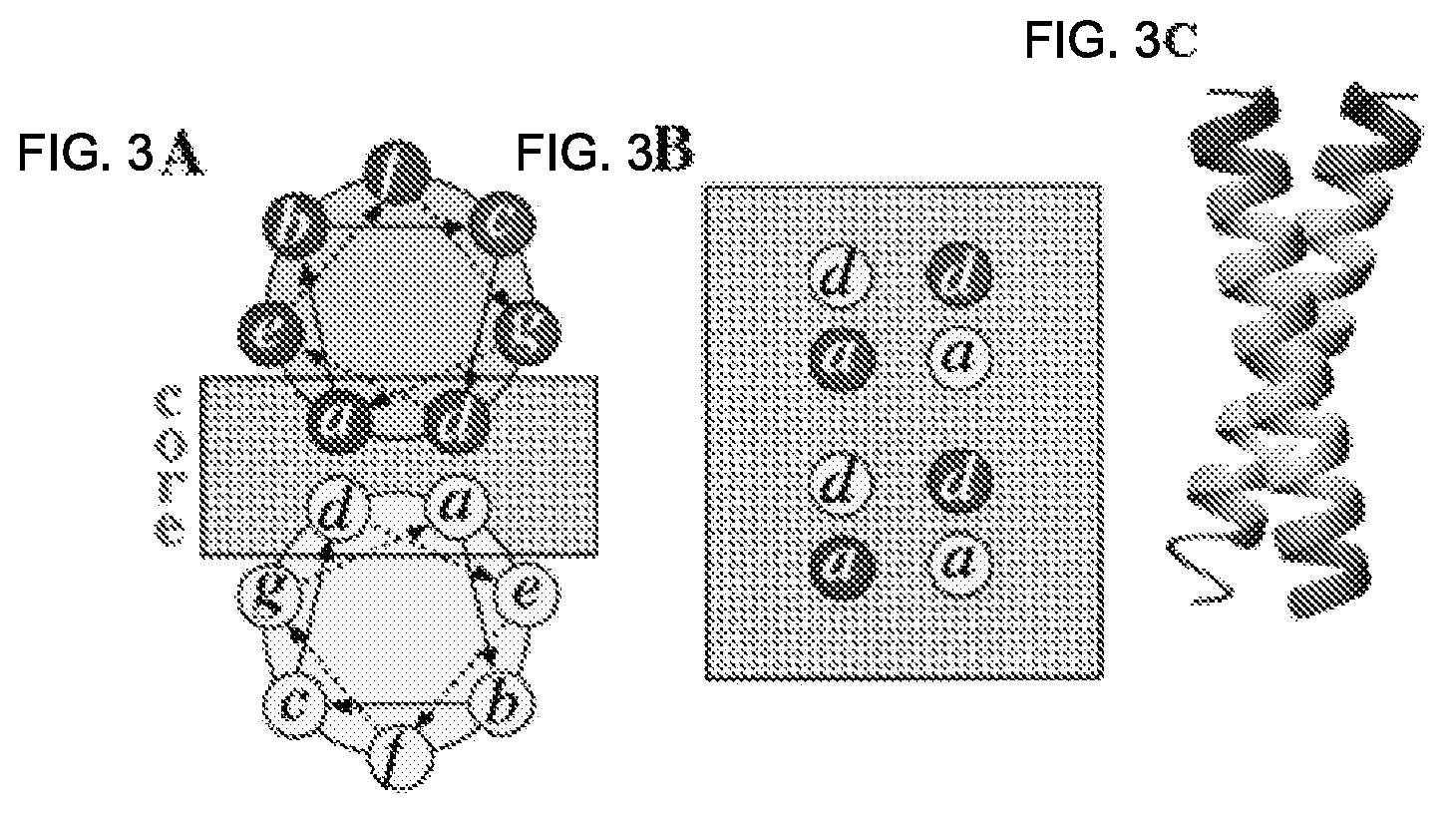 Patent US11780902 Figure 3 – Receptor/histidine kinase fusion constructs and uses thereof