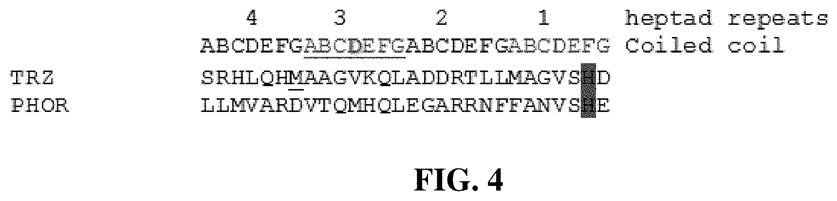 Patent US11780902 Figure 4 – Receptor/histidine kinase fusion constructs and uses thereof