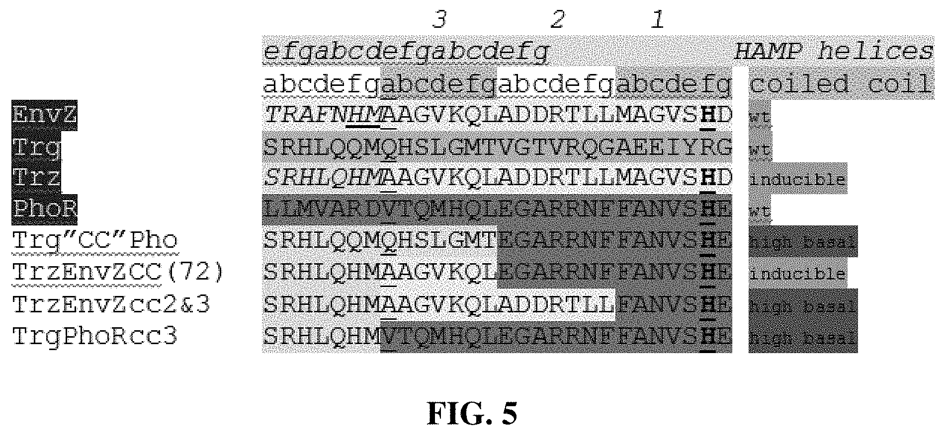 Patent US11780902 Figure 5 – Receptor/histidine kinase fusion constructs and uses thereof