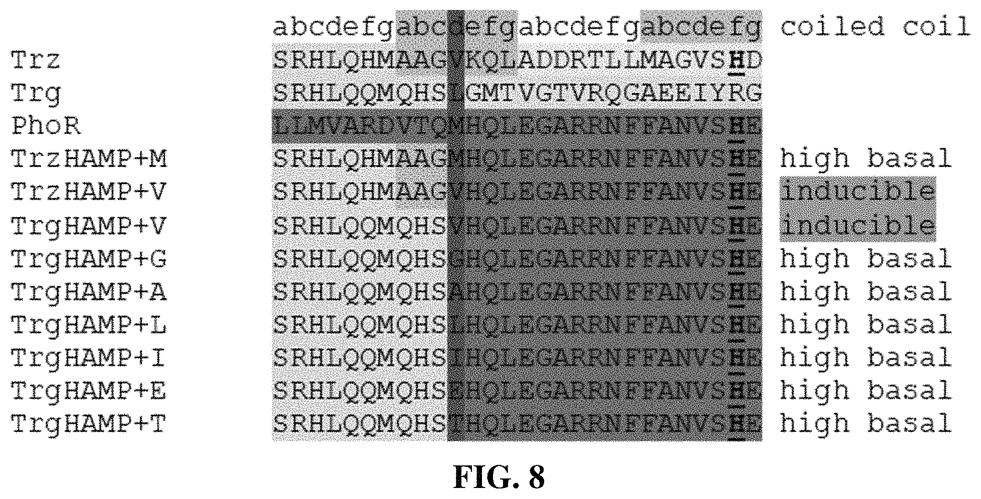 Patent US11780902 Figure 8 – Receptor/histidine kinase fusion constructs and uses thereof