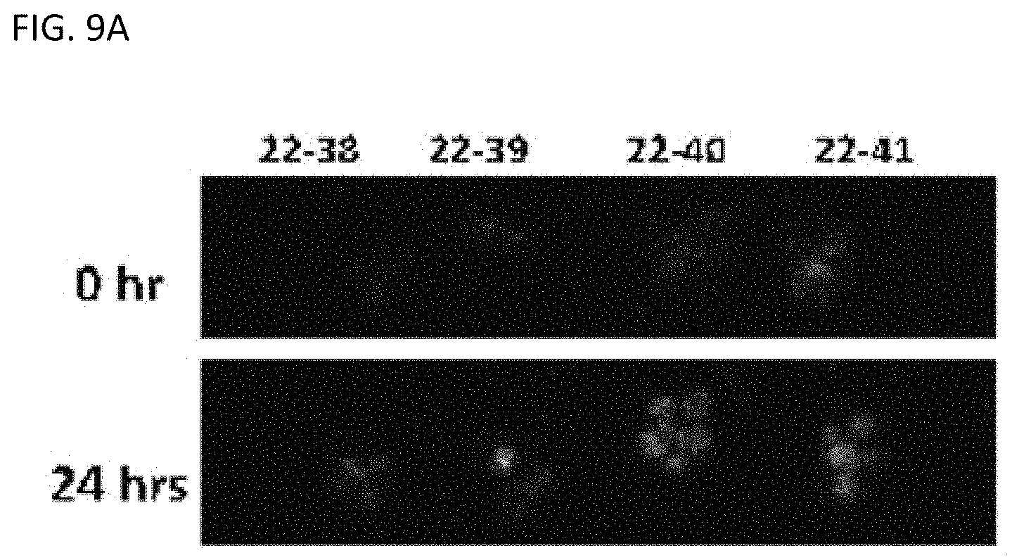 Patent US11780902 Figure 9 – Receptor/histidine kinase fusion constructs and uses thereof