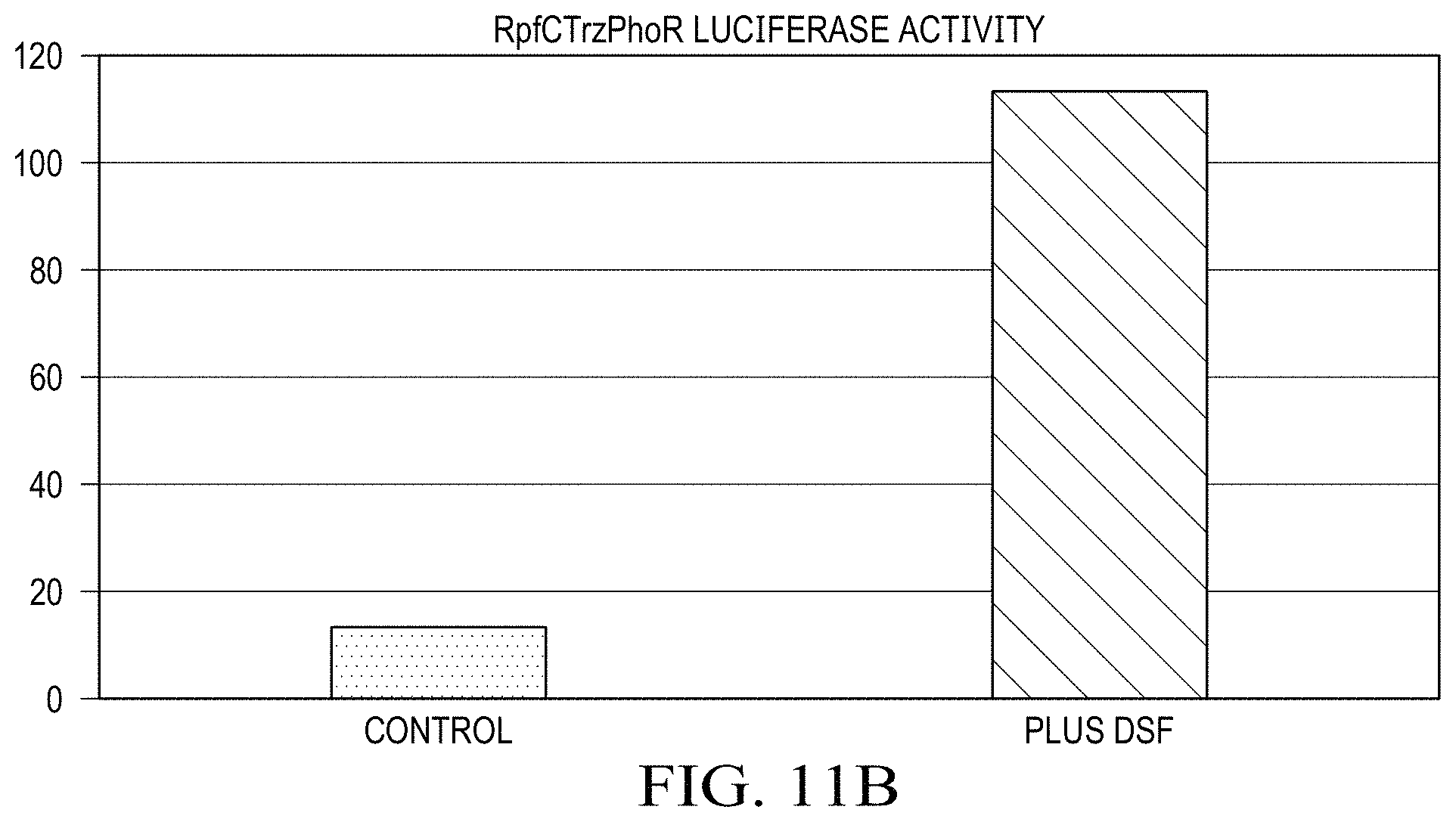 Patent US11780902 Figure 13 – Receptor/histidine kinase fusion constructs and uses thereof