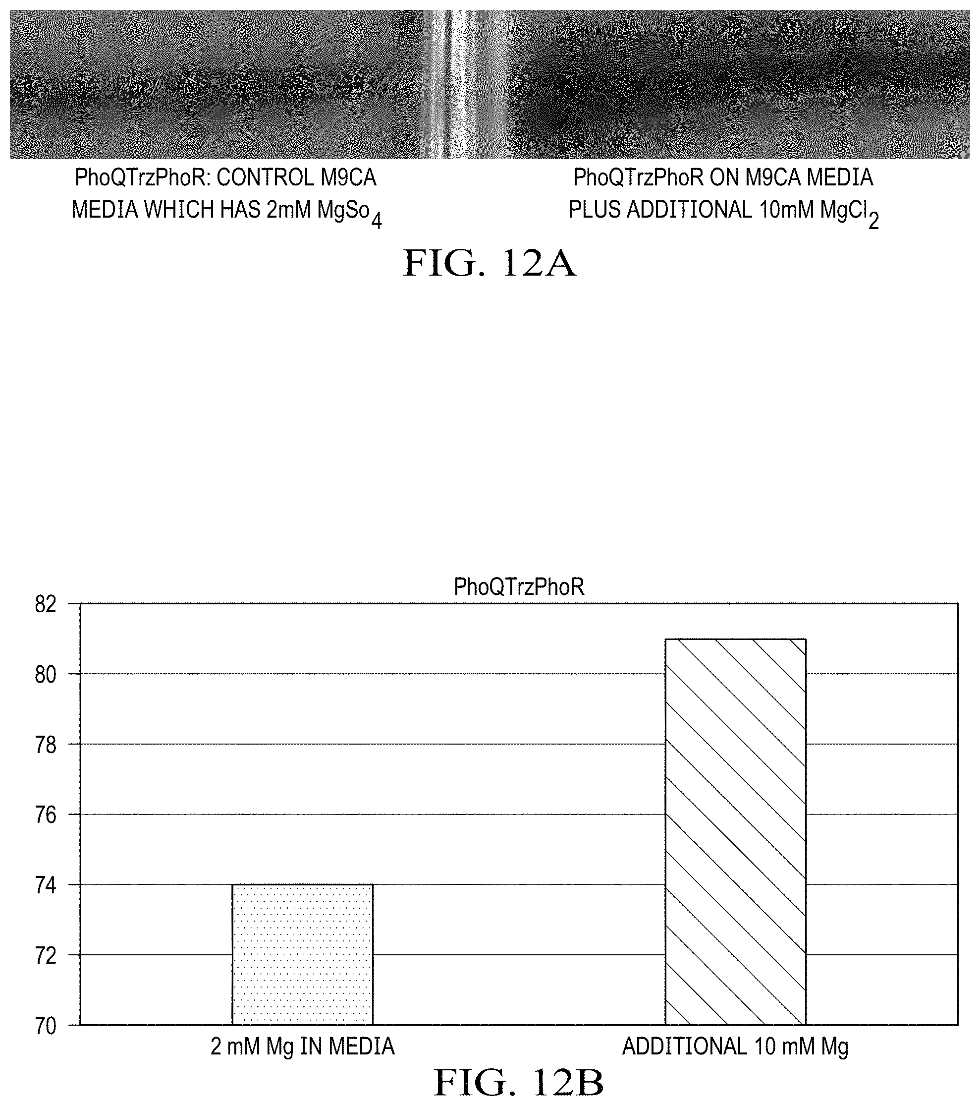Patent US11780902 Figure 14 – Receptor/histidine kinase fusion constructs and uses thereof
