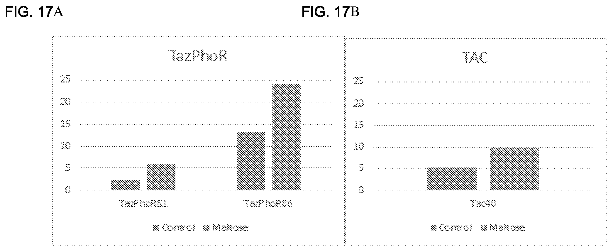 Patent US11780902 Figure 19 – Receptor/histidine kinase fusion constructs and uses thereof
