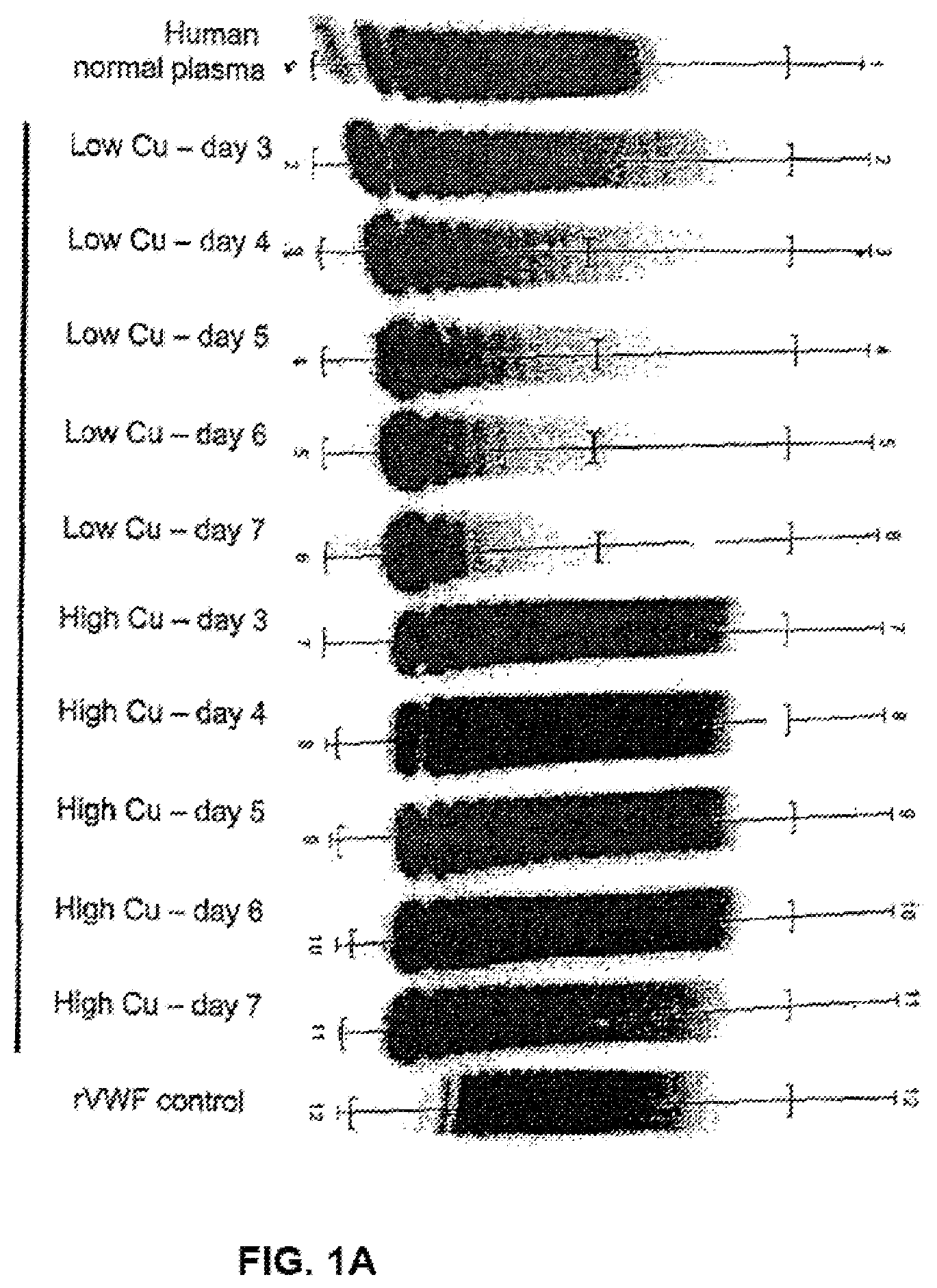 Patent US11780904 — Method of producing recombinant high molecular weight vWF in cell culture — Figure 1