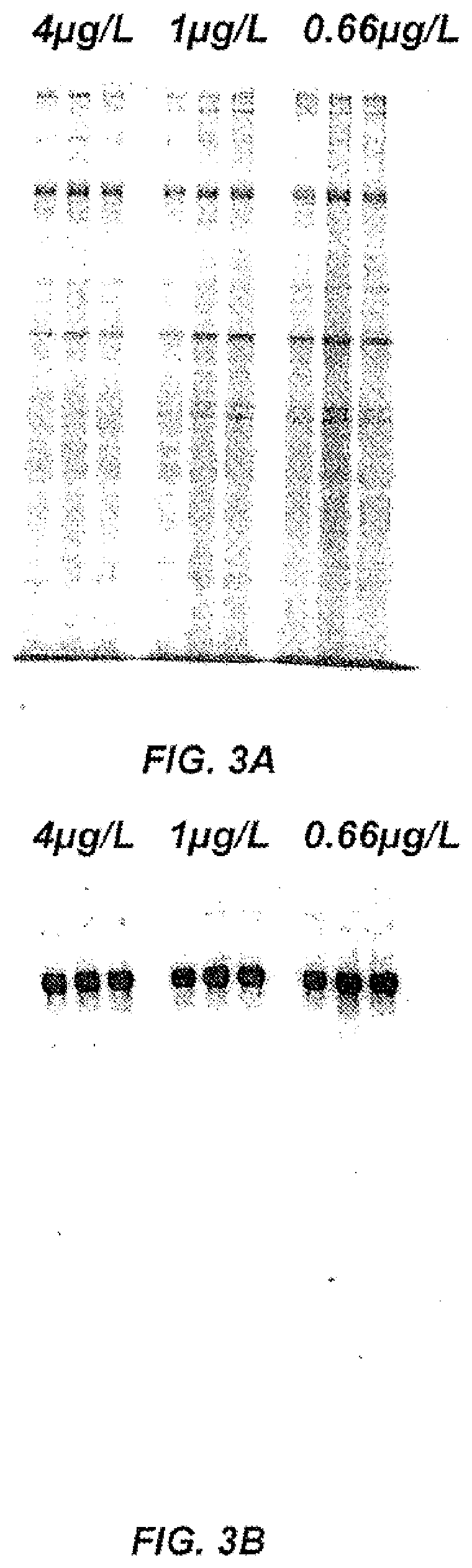 Patent US11780904 Figure 4 – Method of producing recombinant high molecular weight vWF in cell culture