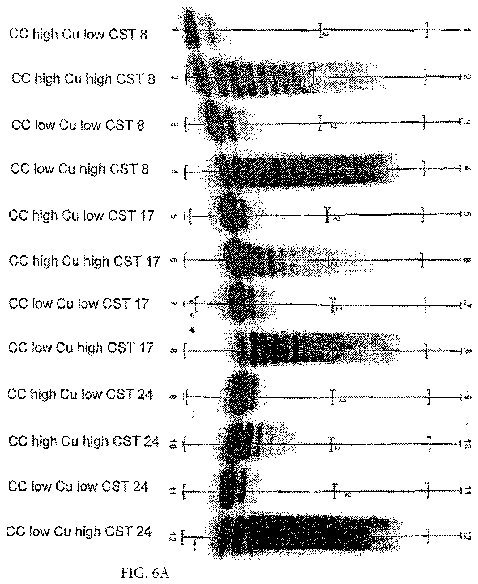 Patent US11780904 Figure 12 – Method of producing recombinant high molecular weight vWF in cell culture