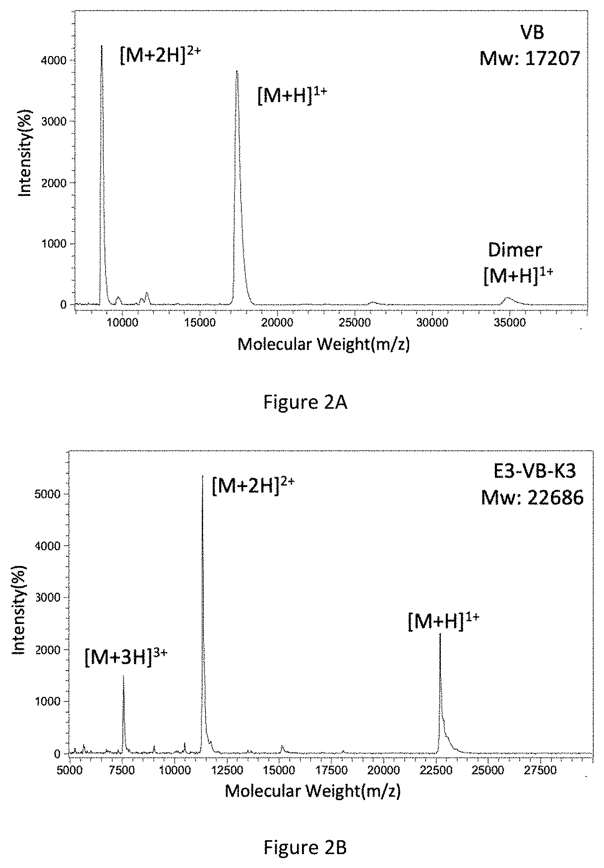 Patent US11780905 Figure 2 – Preparation method for collagen hydrogel
