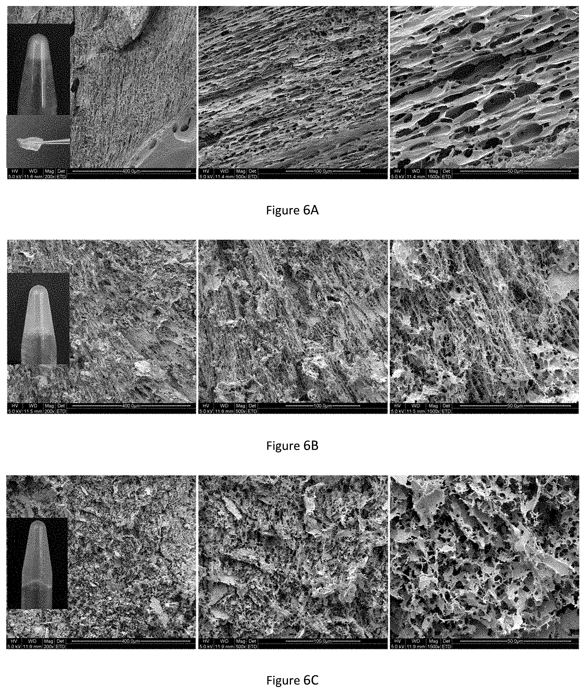 Patent US11780905 Figure 9 – Preparation method for collagen hydrogel