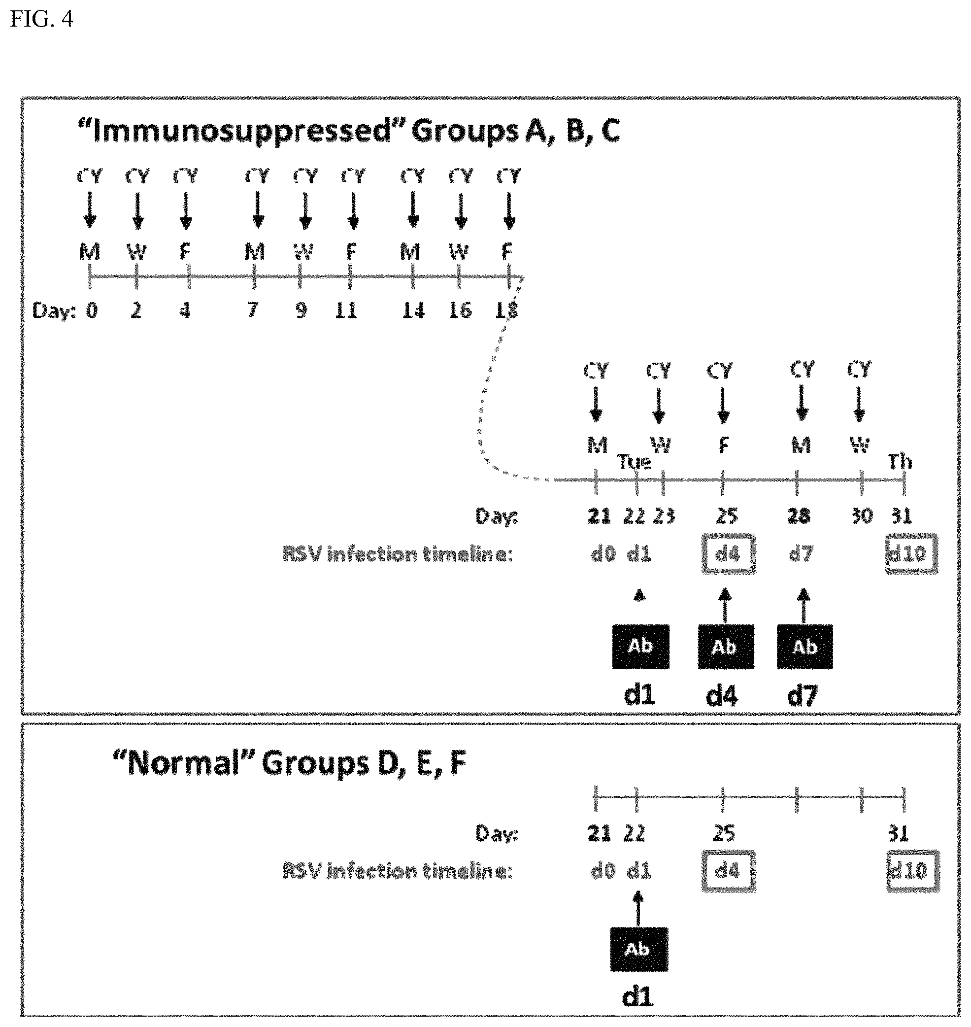 Patent US11780906 Figure 4 – Compositions and methods for the treatment of immunodeficiency