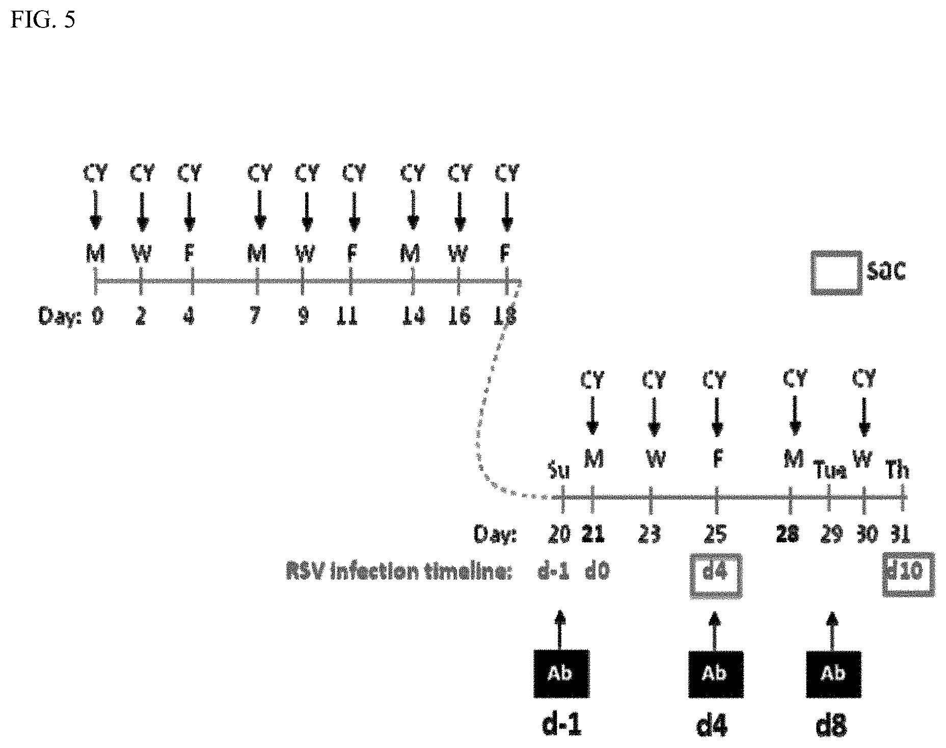 Patent US11780906 Figure 5 – Compositions and methods for the treatment of immunodeficiency