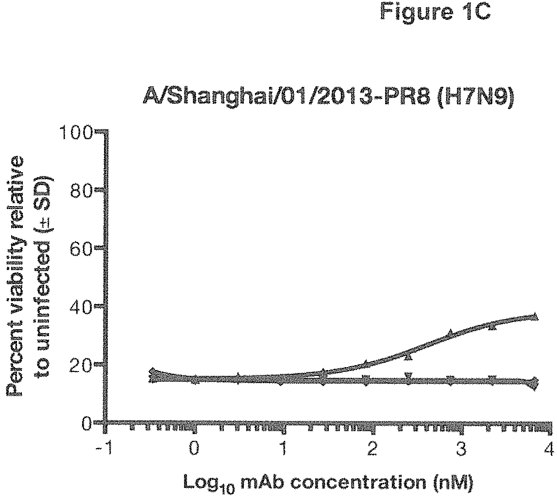 Patent US11780907 Figure 3 – Human antibodies to influenza hemagglutinin