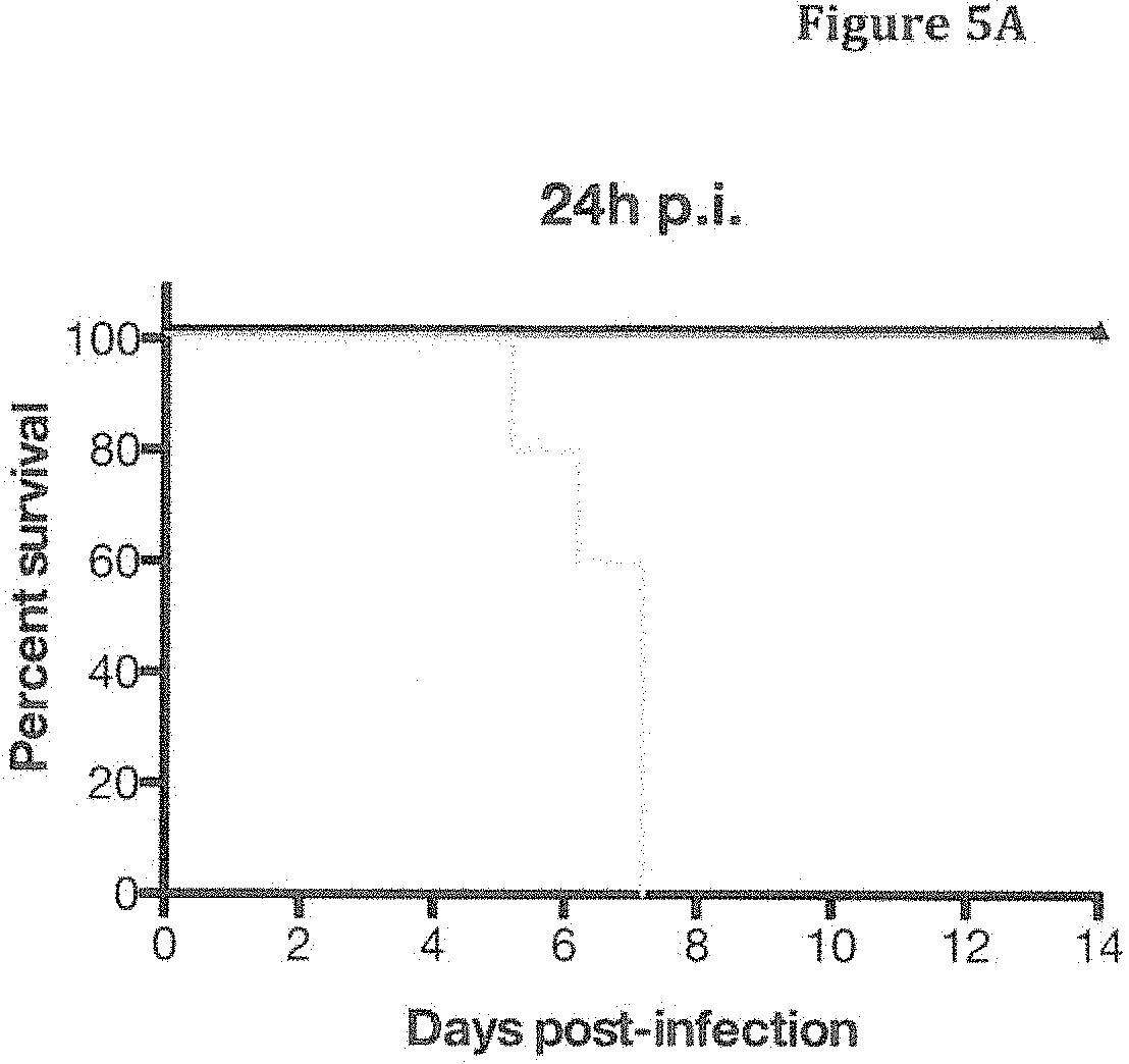 Patent US11780907 Figure 7 – Human antibodies to influenza hemagglutinin