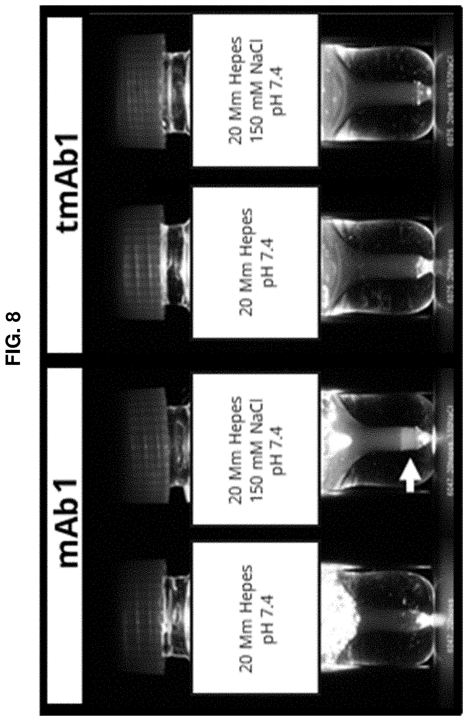 Patent US11780910 Figure 16 – Anti-ANGPTL3 antibodies suitable for high concentration compositions and subcutaneous administration