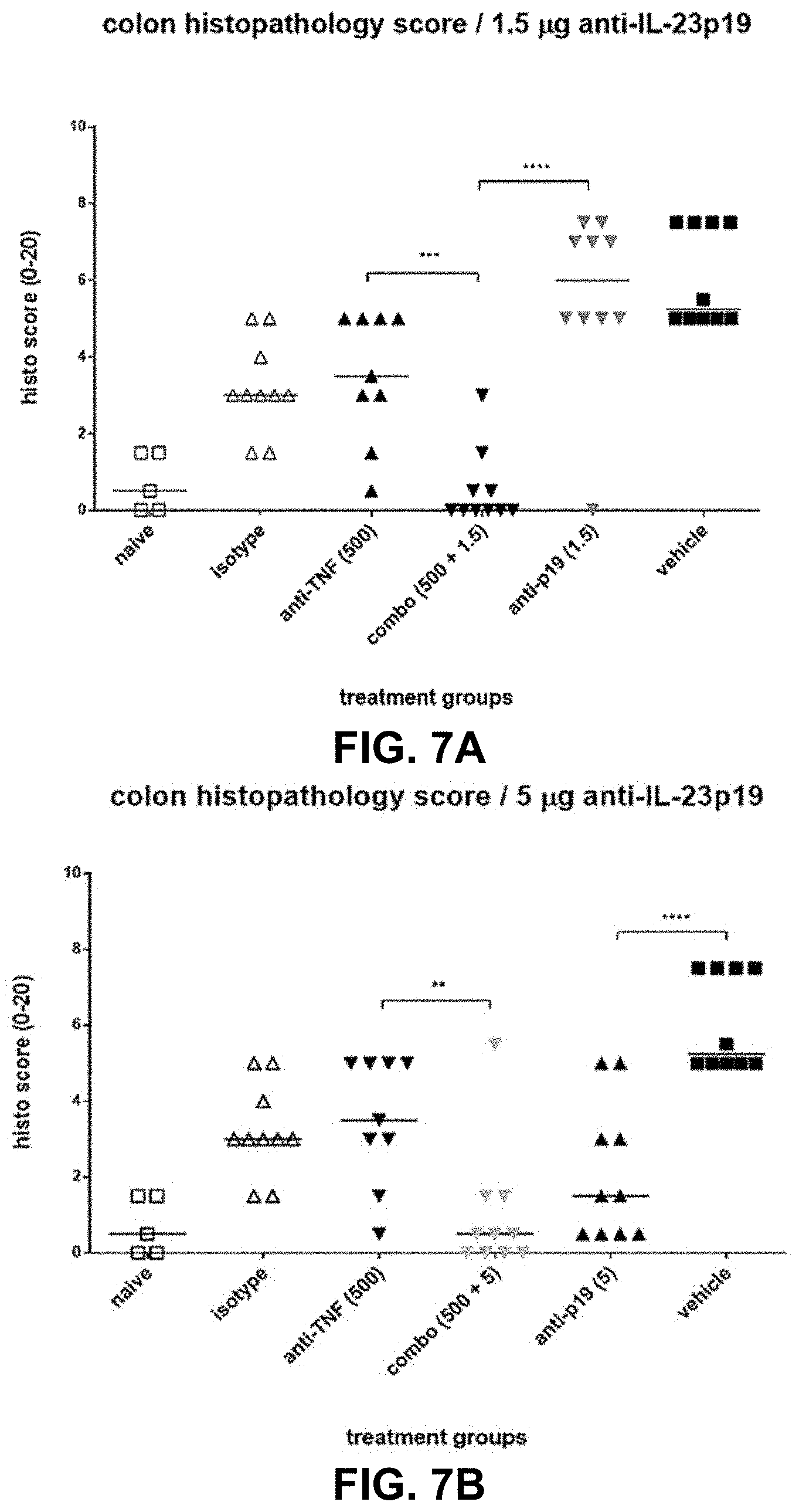 Patent US11780911 Figure 16 – Method of treating inflammatory bowel disease with a combination therapy of antibodies to IL-23 and TNF alpha