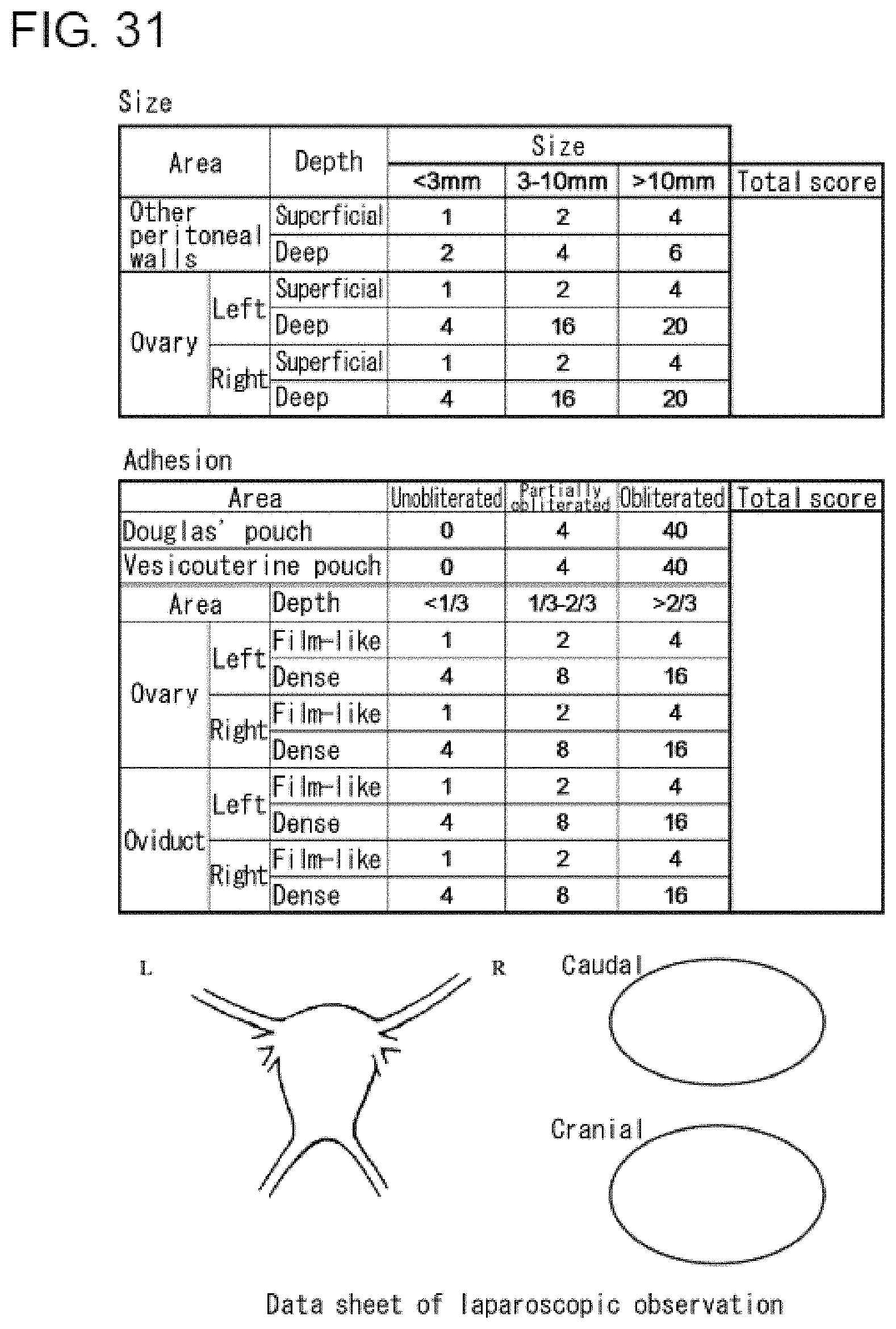 Patent US11780912 Figure 19 – Composition for prophylaxis or treatment of IL-8 related diseases