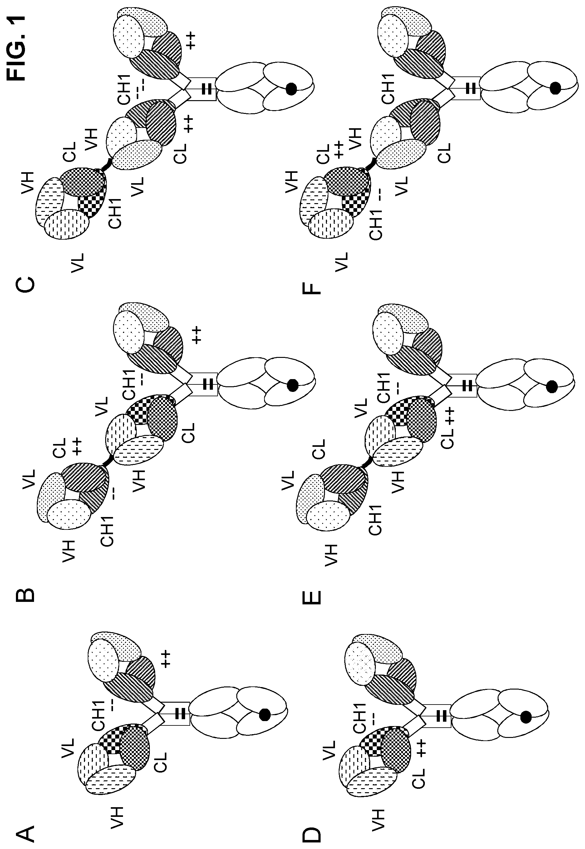 Patent US11780920 Figure 1 – Antibodies binding to CD3 and CD19