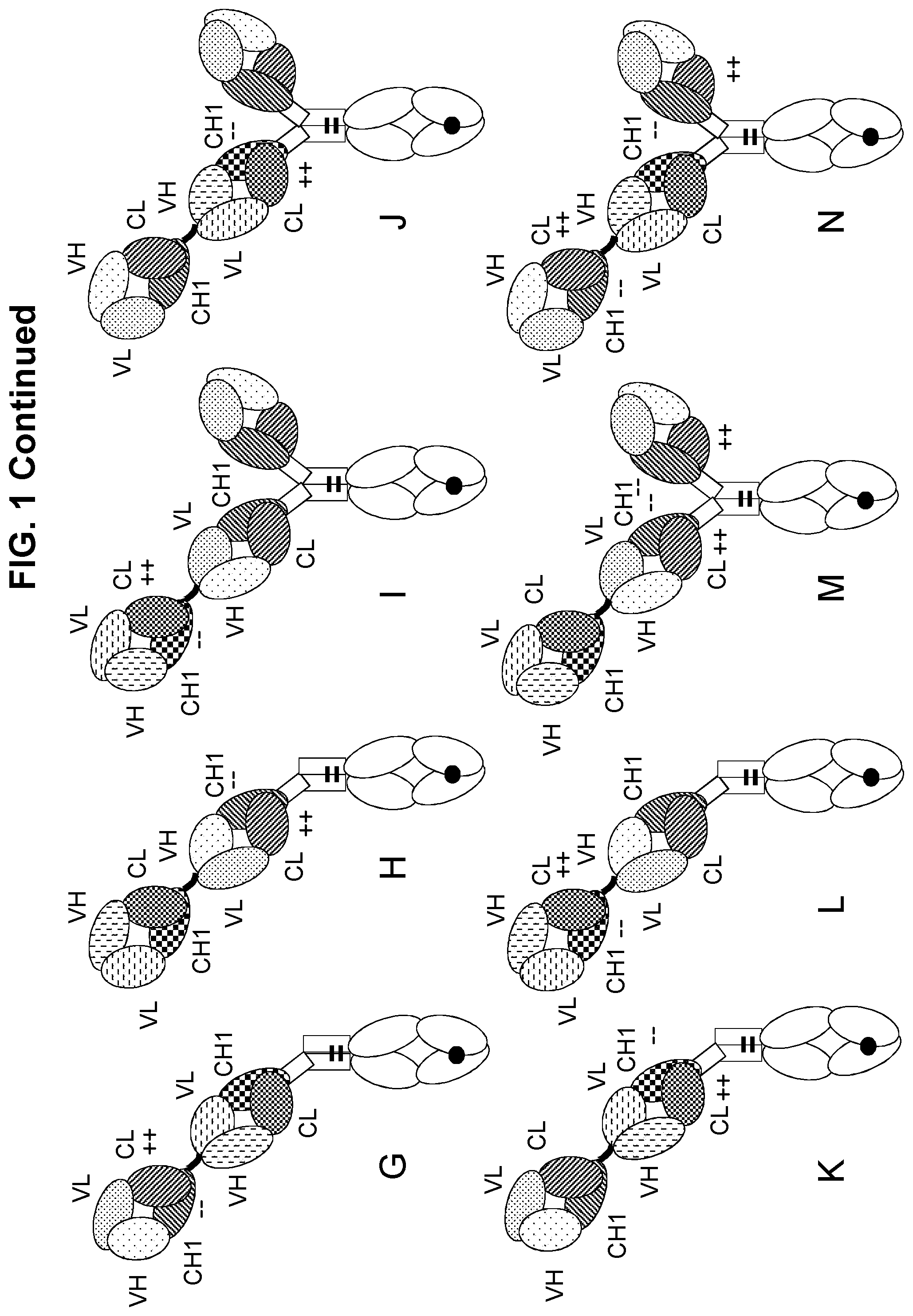 Patent US11780920 Figure 2 – Antibodies binding to CD3 and CD19