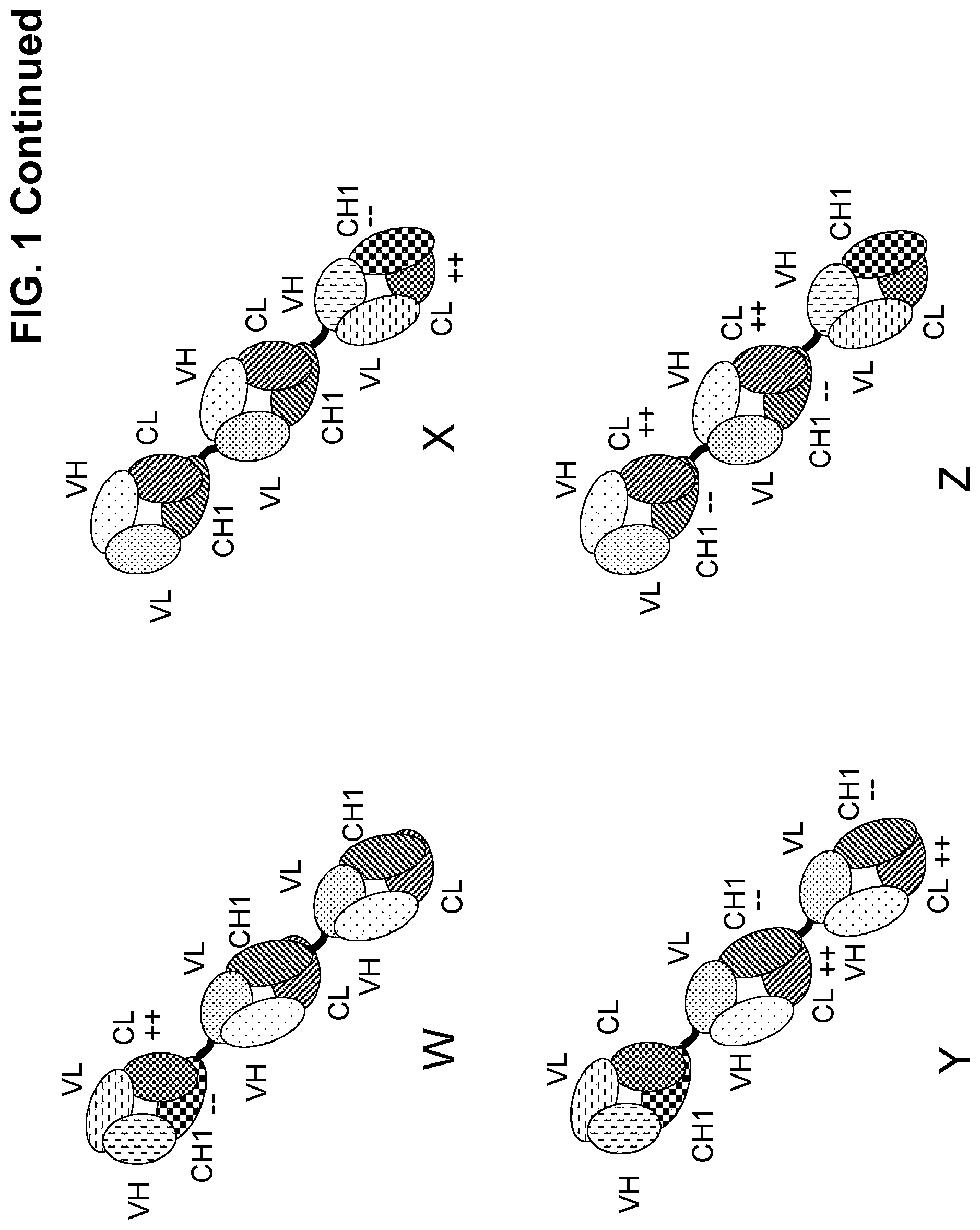 Patent US11780920 Figure 4 – Antibodies binding to CD3 and CD19