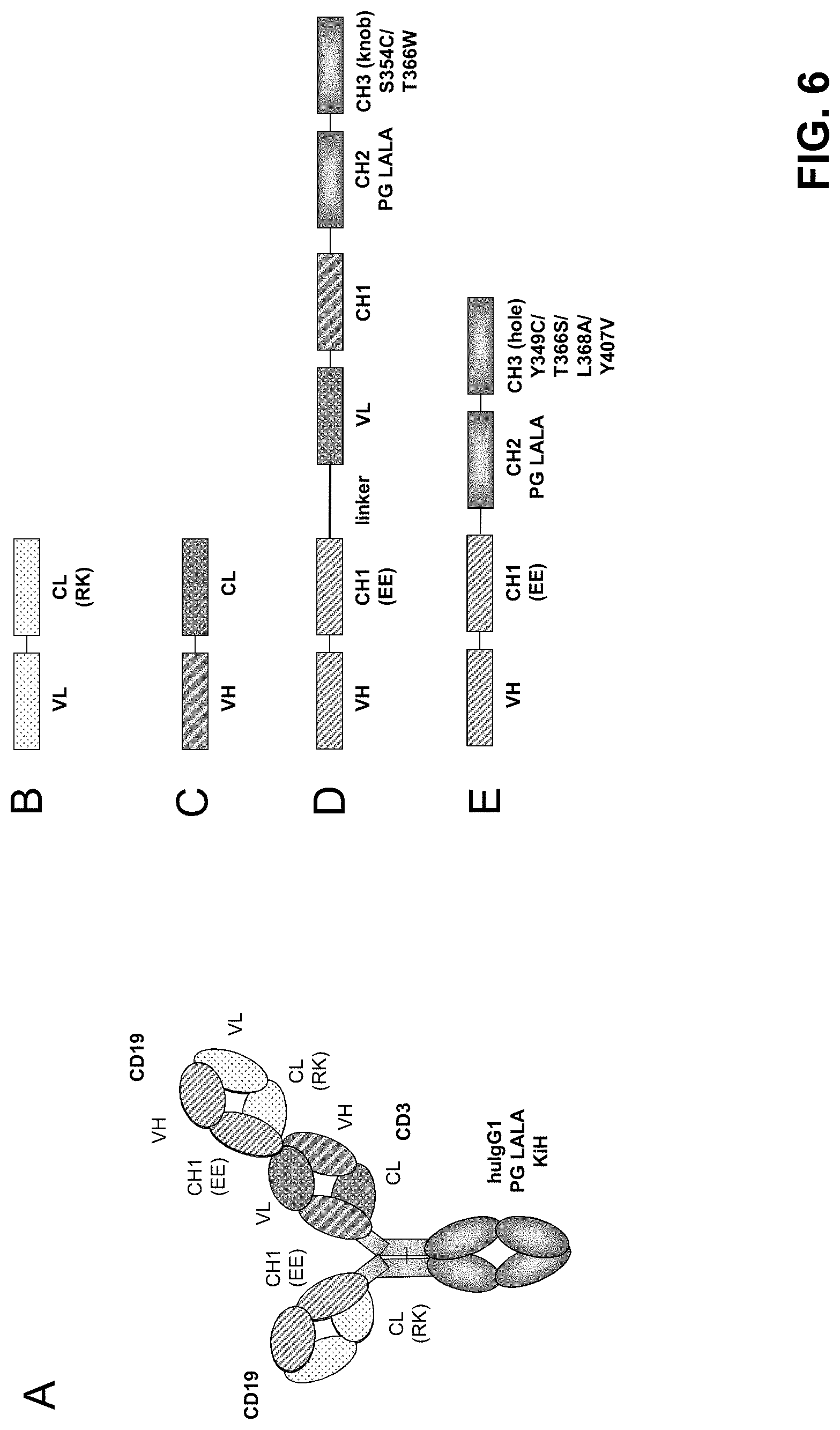 Patent US11780920 Figure 9 – Antibodies binding to CD3 and CD19