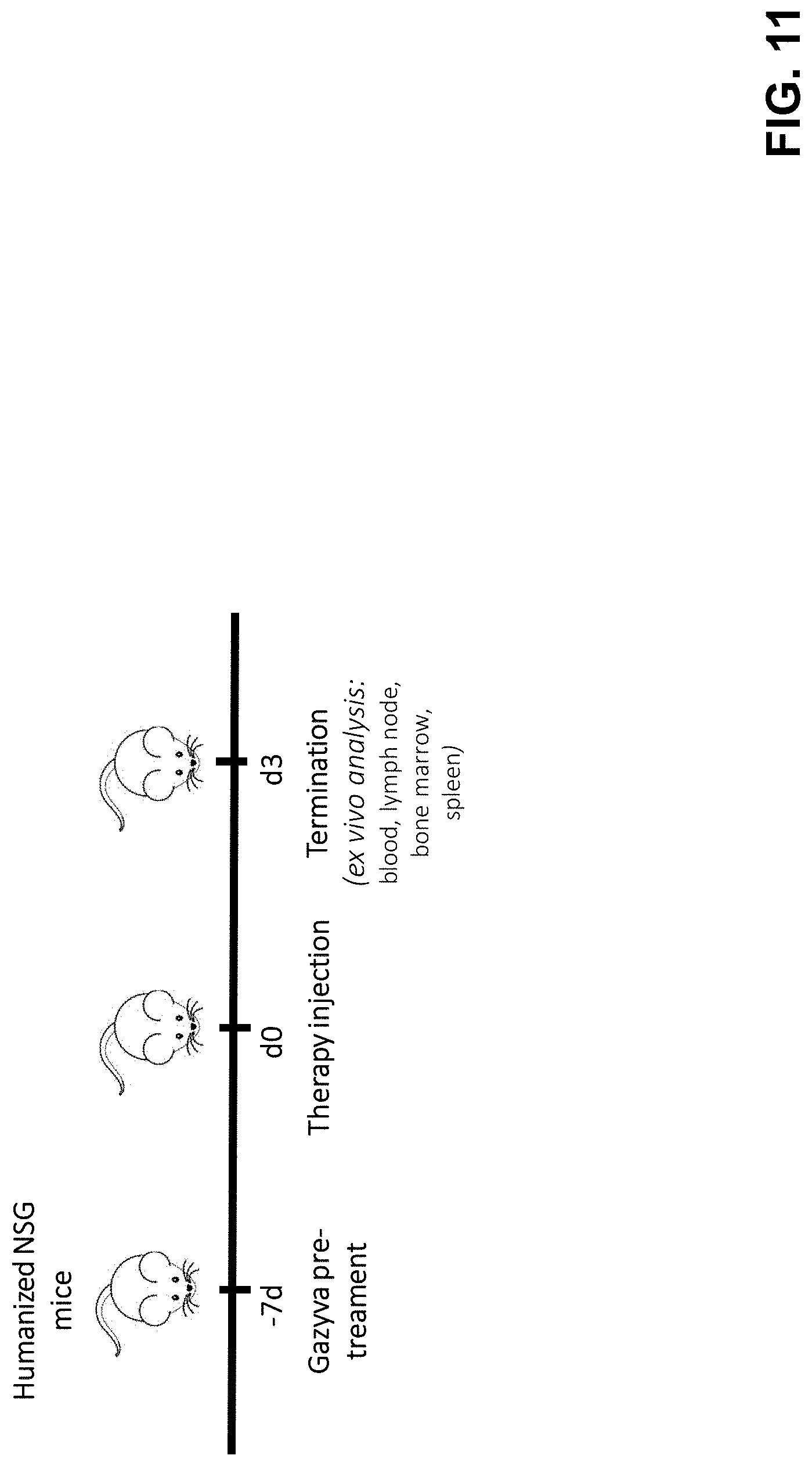 Patent US11780920 Figure 14 – Antibodies binding to CD3 and CD19