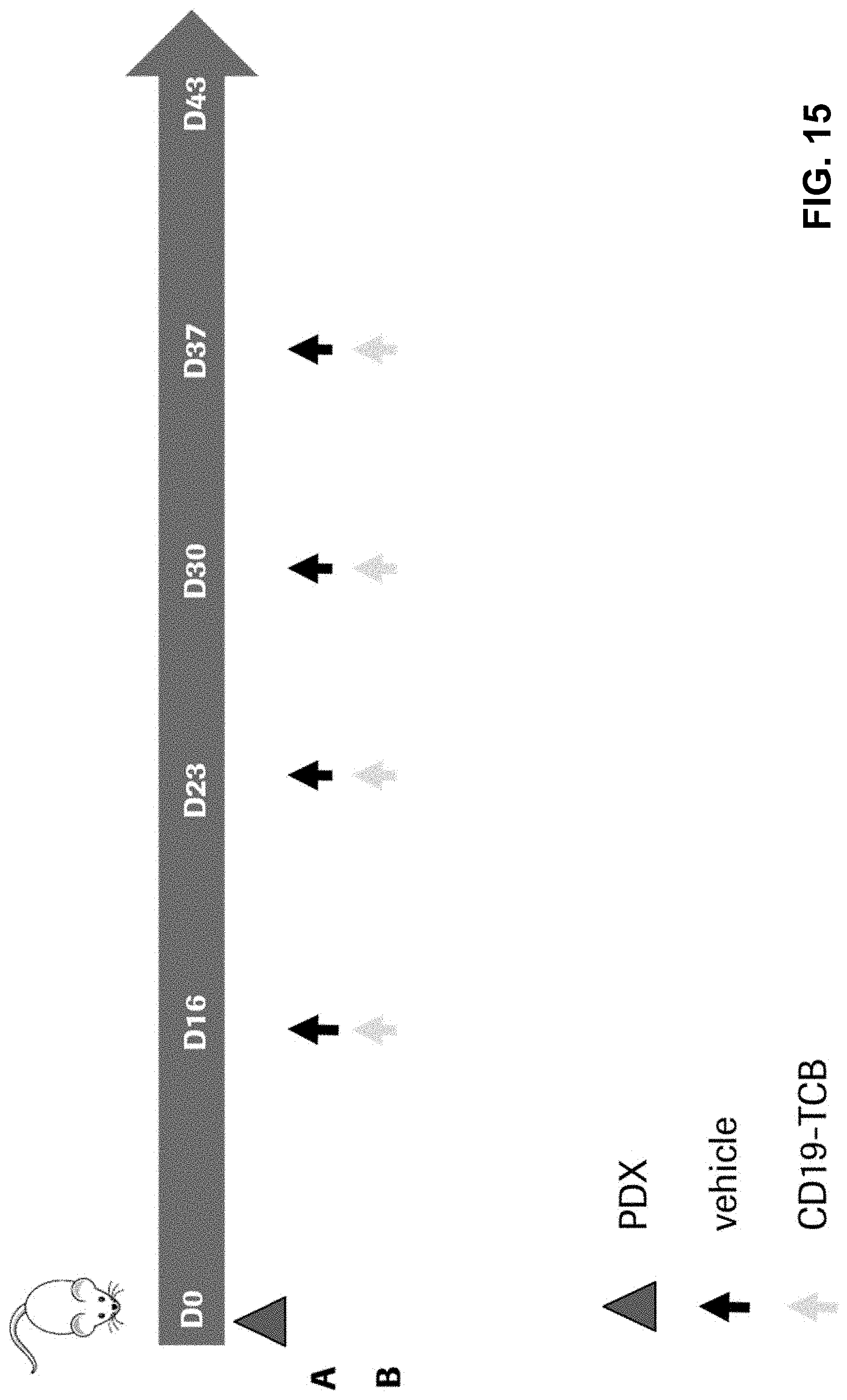 Patent US11780920 Figure 18 – Antibodies binding to CD3 and CD19