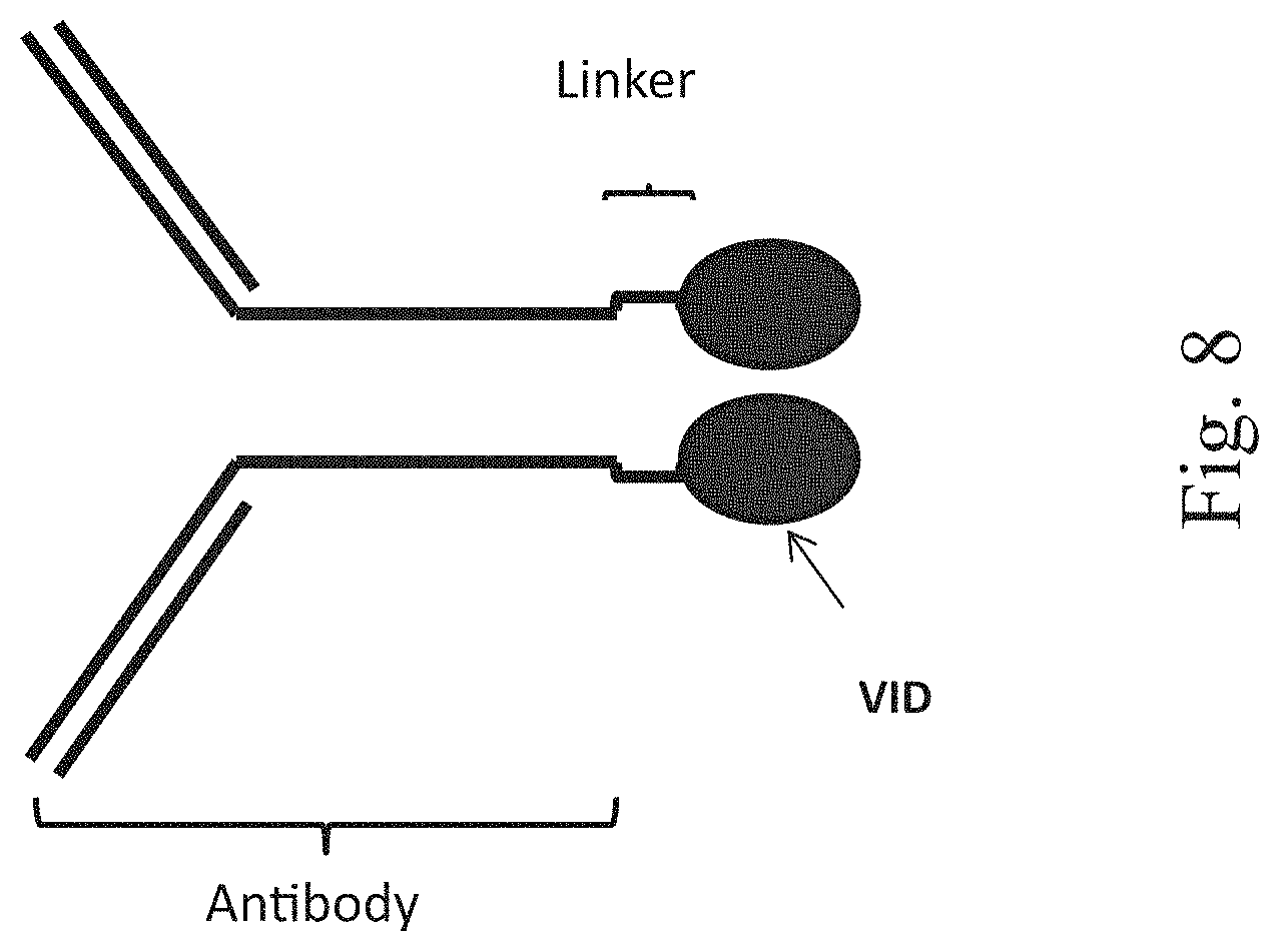 Patent US11780922 Figure 8 – Bifunctional proteins combining checkpoint blockade for targeted therapy